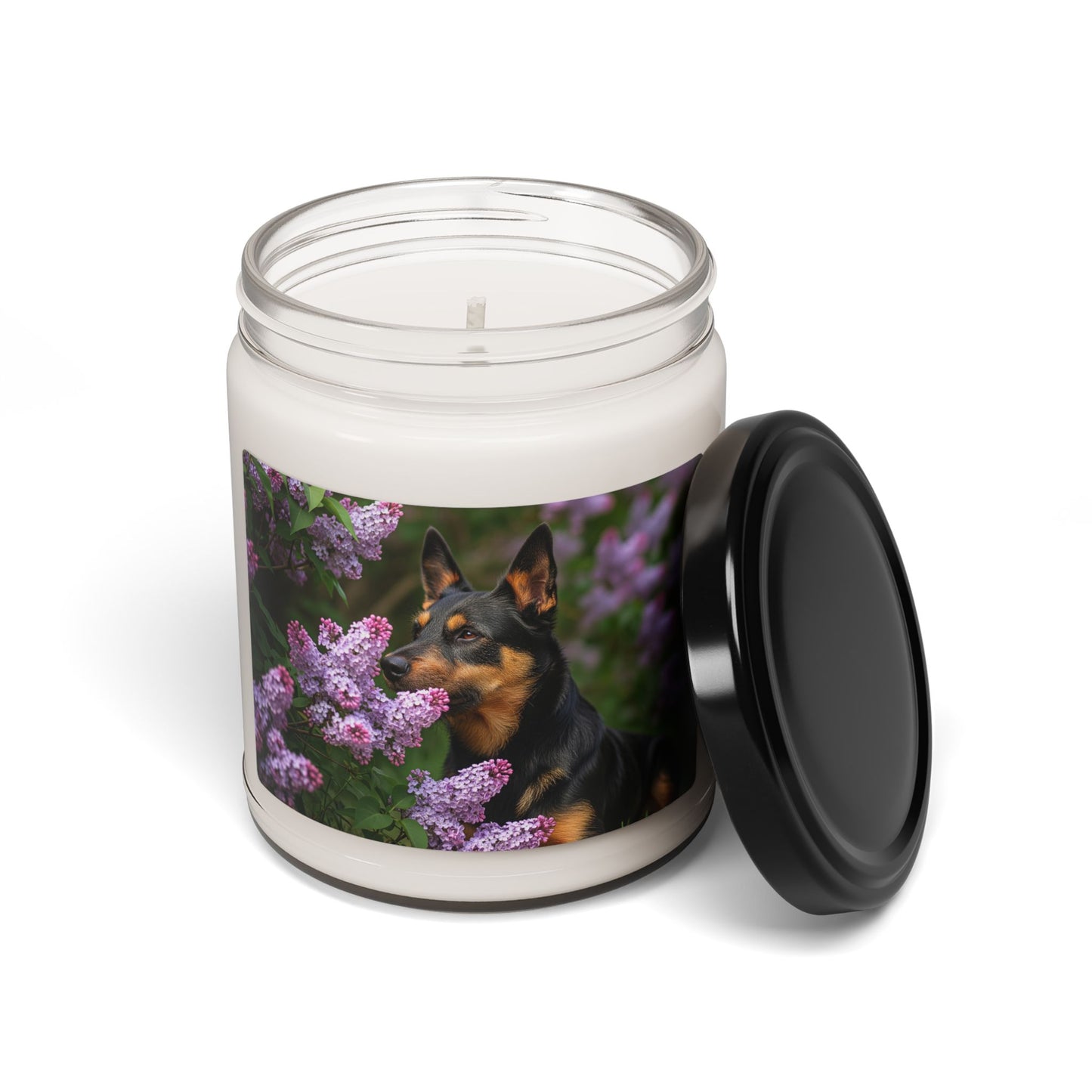 Mudi- Scented Soy Candle, 9oz