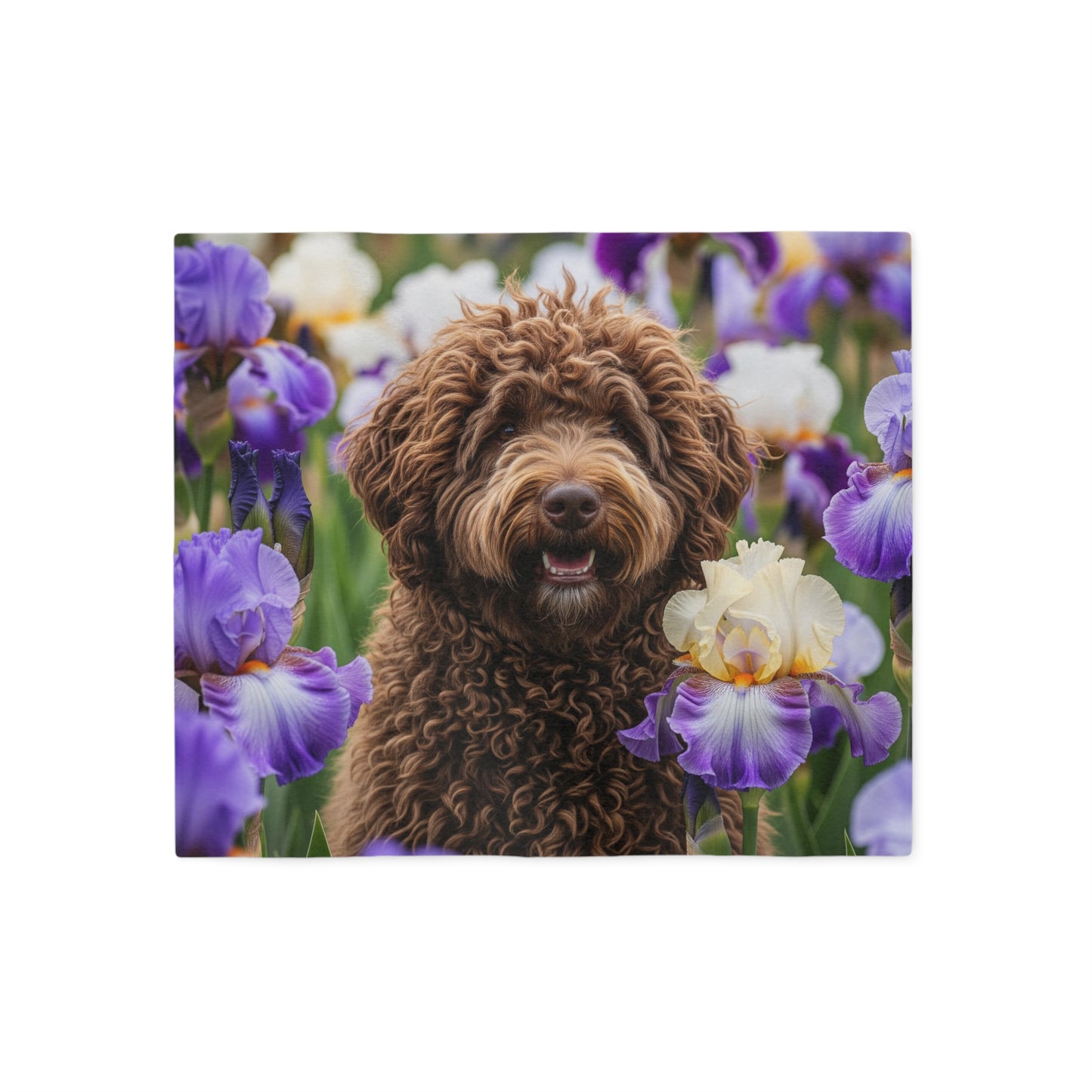 Barbet Sweatshirt Blanket