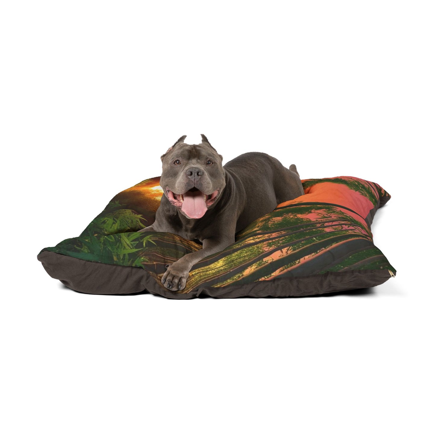 Bamboo Forest Sunrise Pet Bed