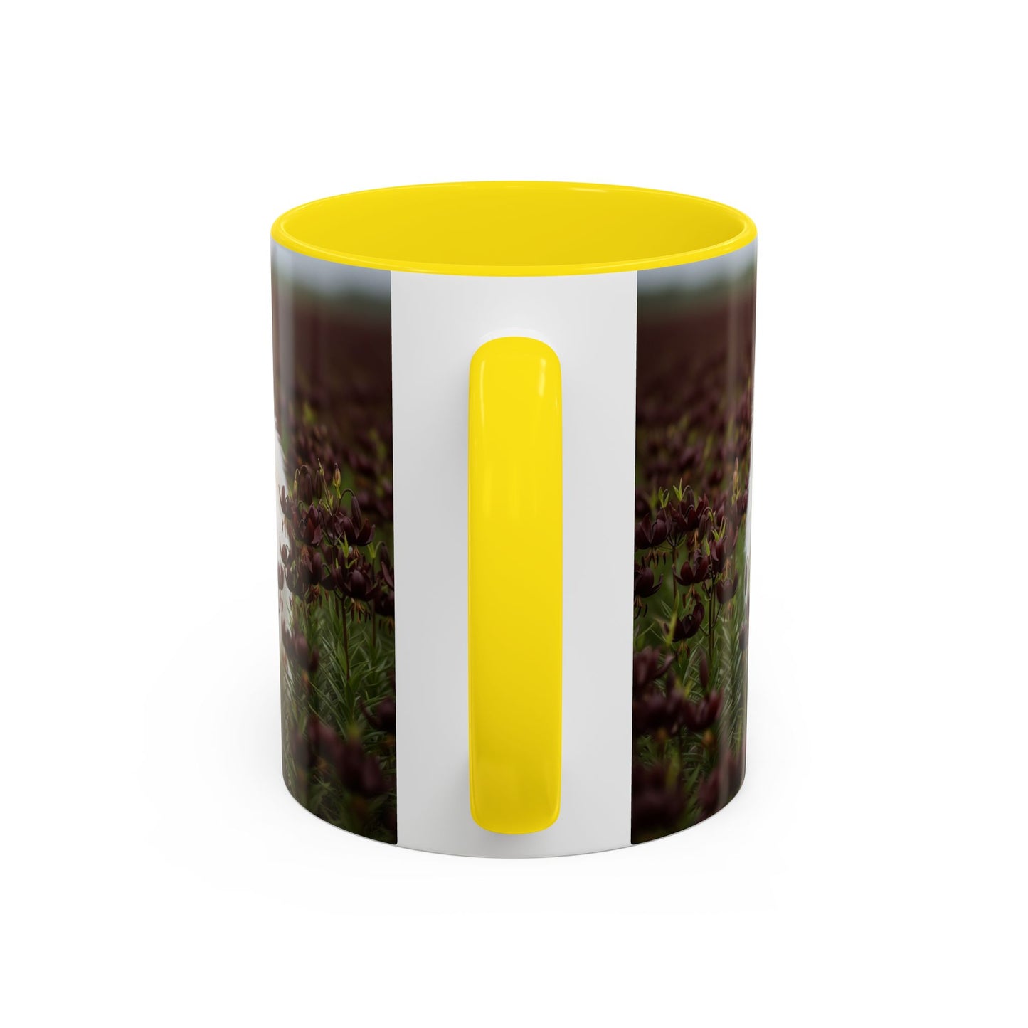 American Eskimo Dog Accent Coffee Mug - Perfect Gift for Dog Lovers