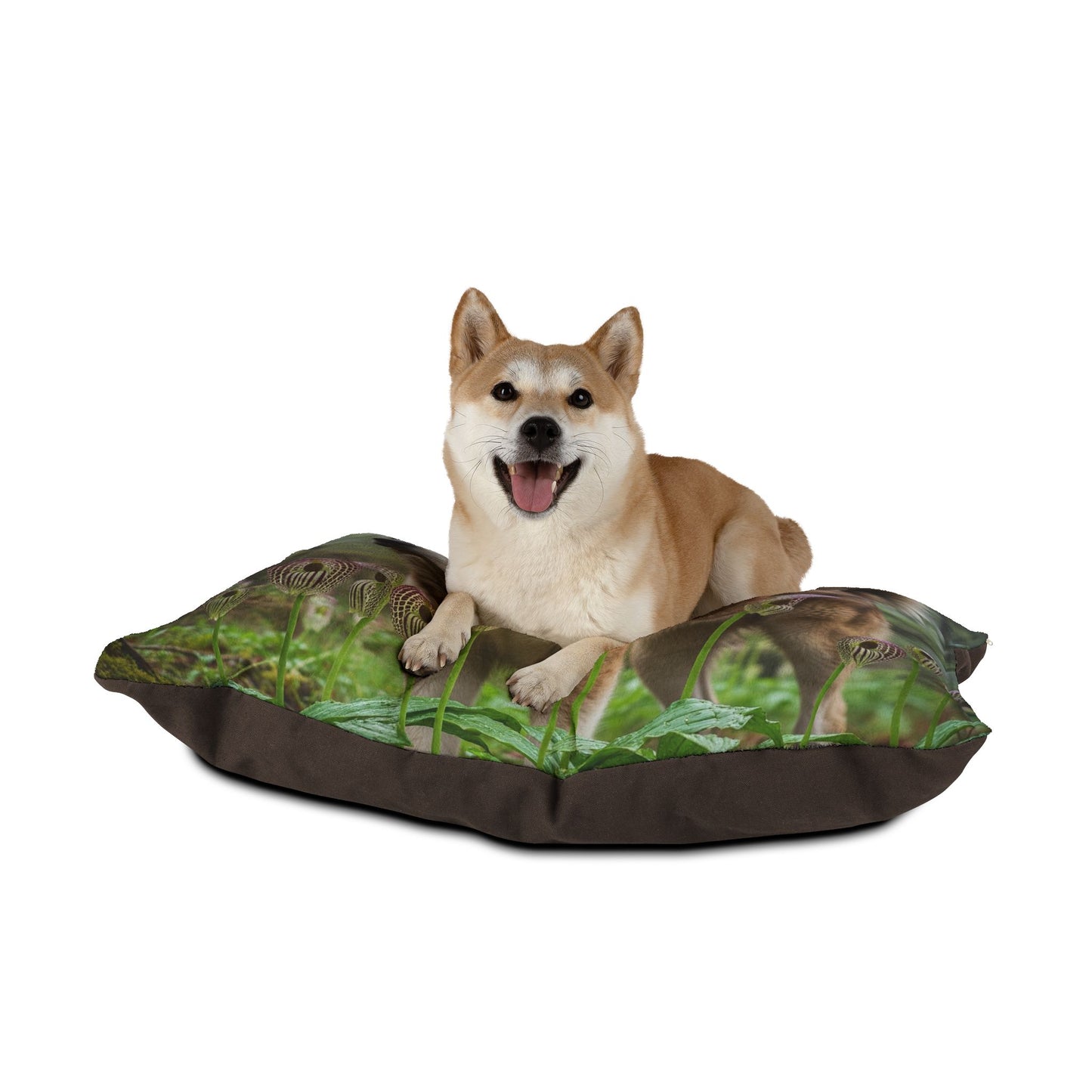Bakharwal Pet Bed