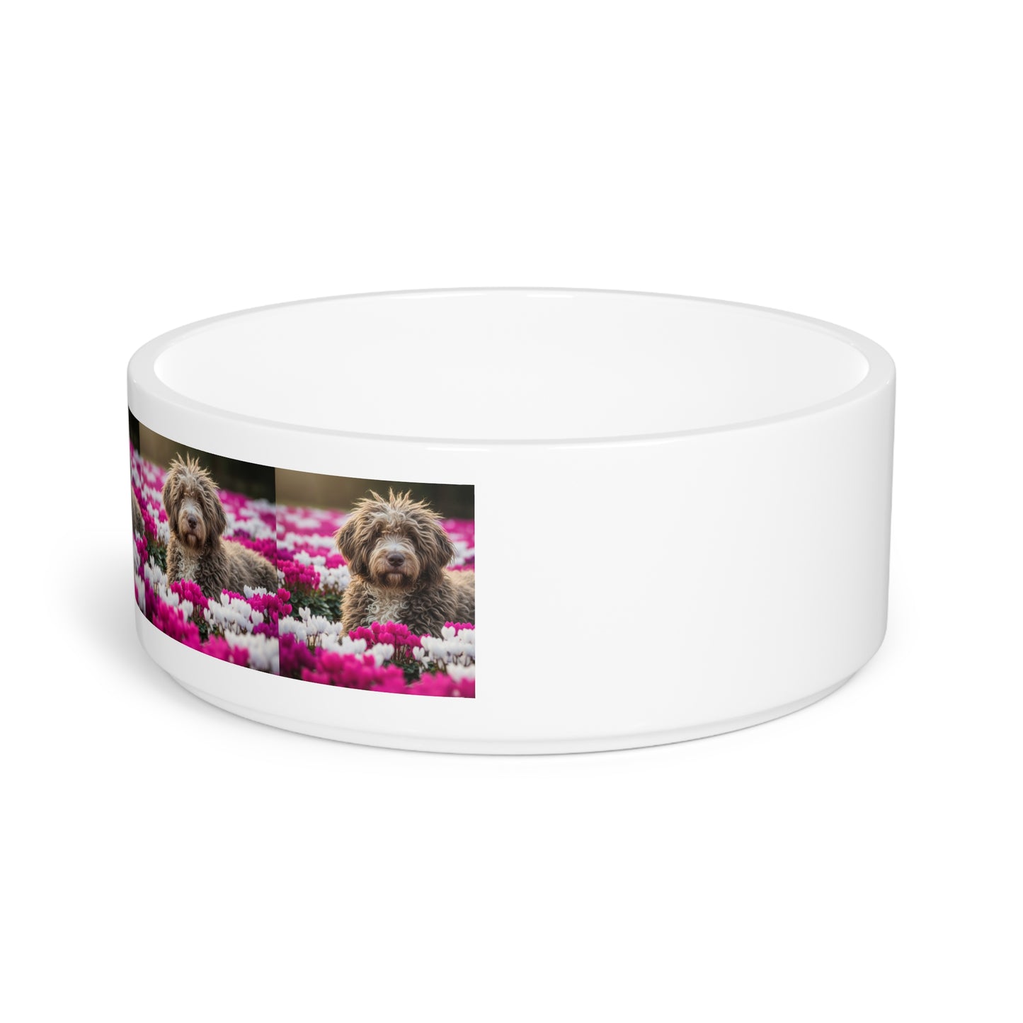 Bergamasco Sheepdog Pet Bowl