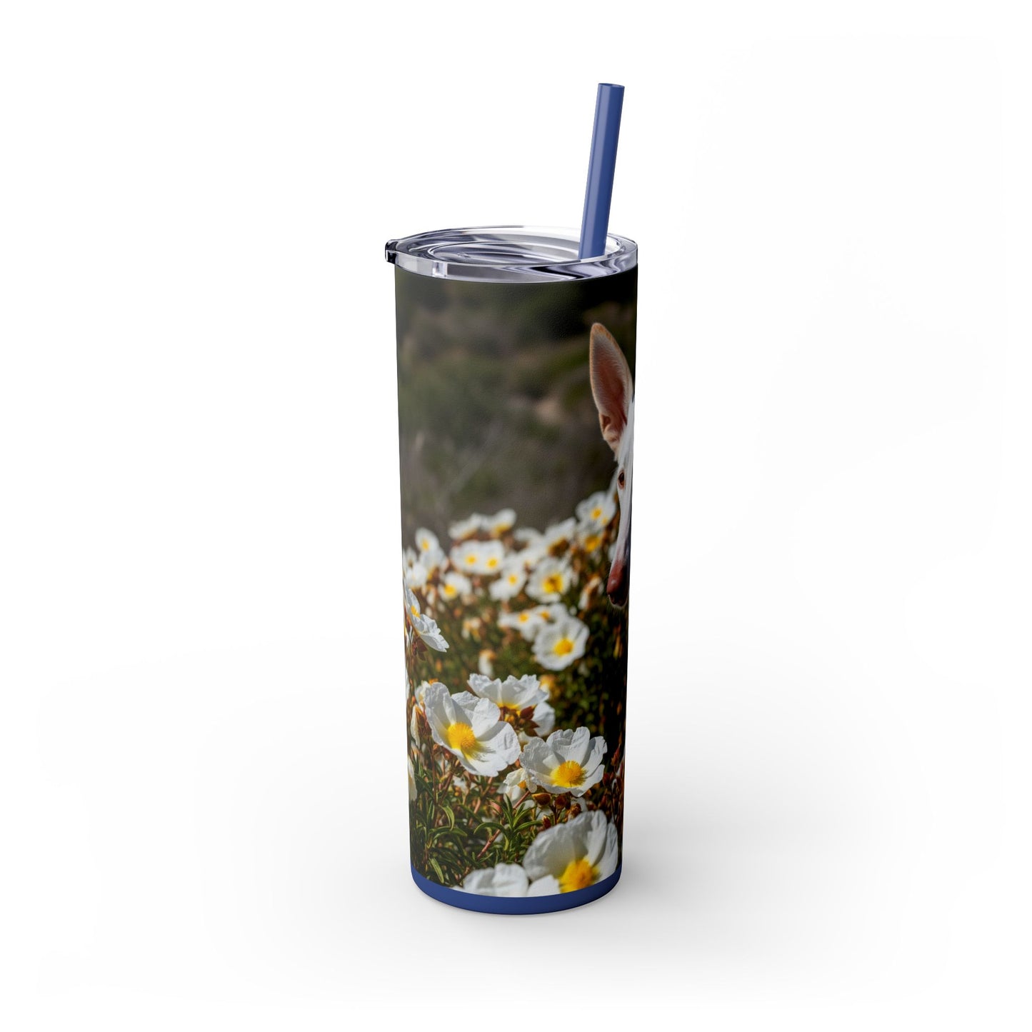 Ibizan Hound Tumbler with Straw, 20oz