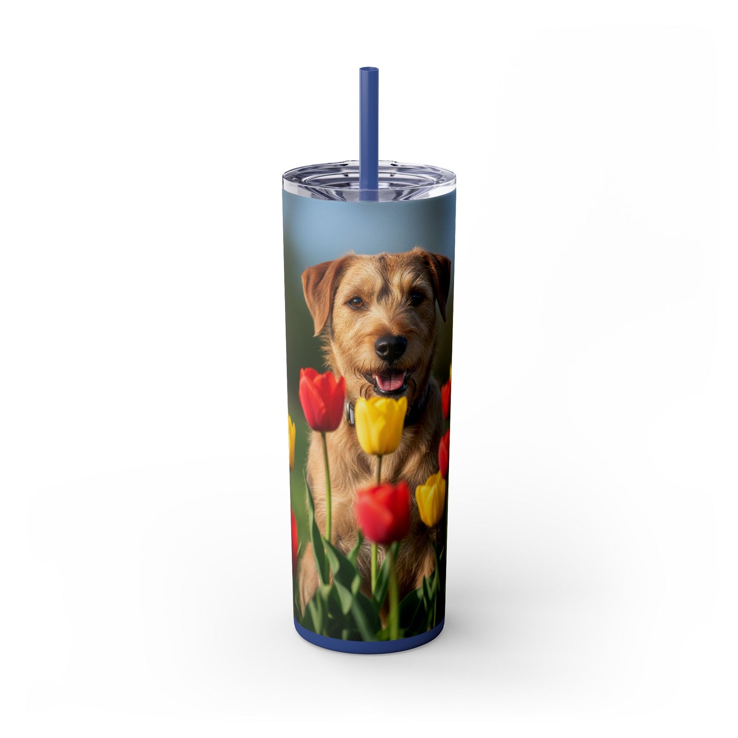 Pumi Skinny Tumbler with Straw, 20oz