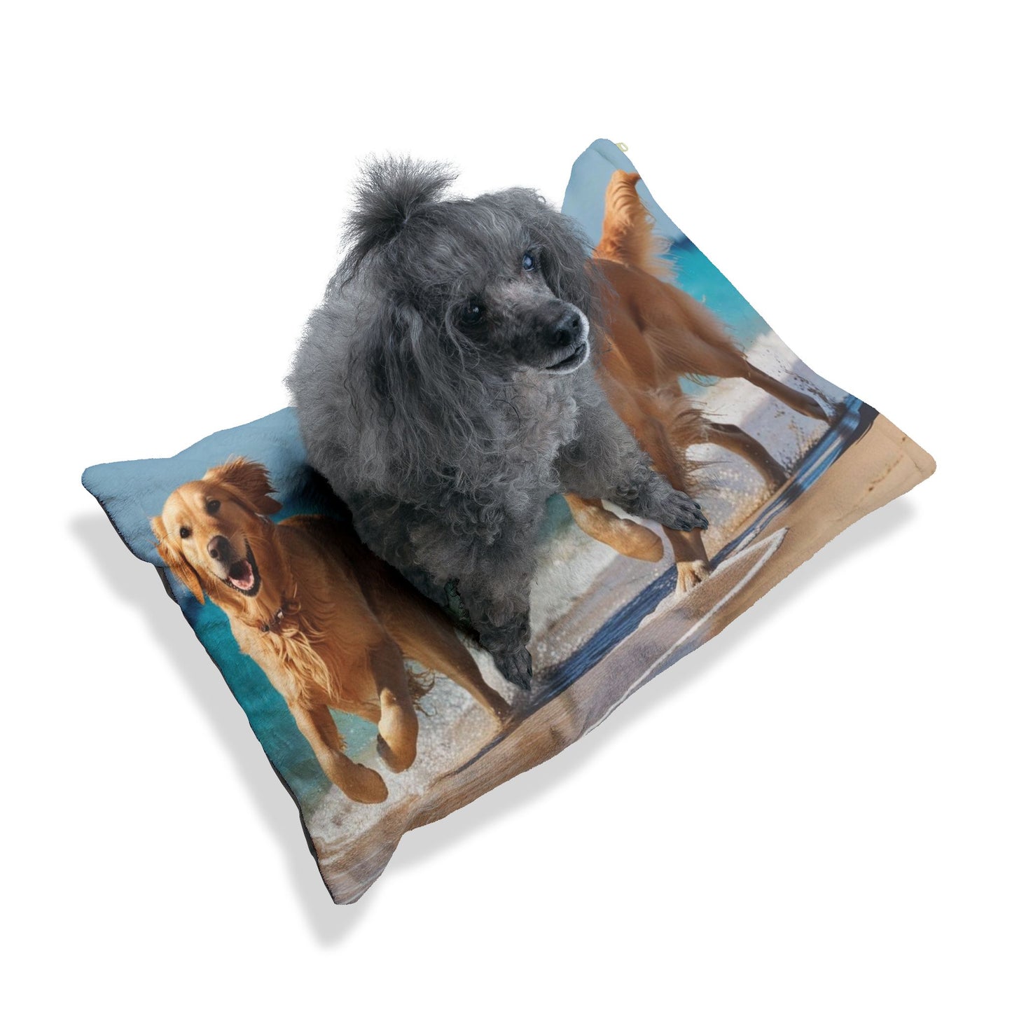 Beach Dogs Pet Bed