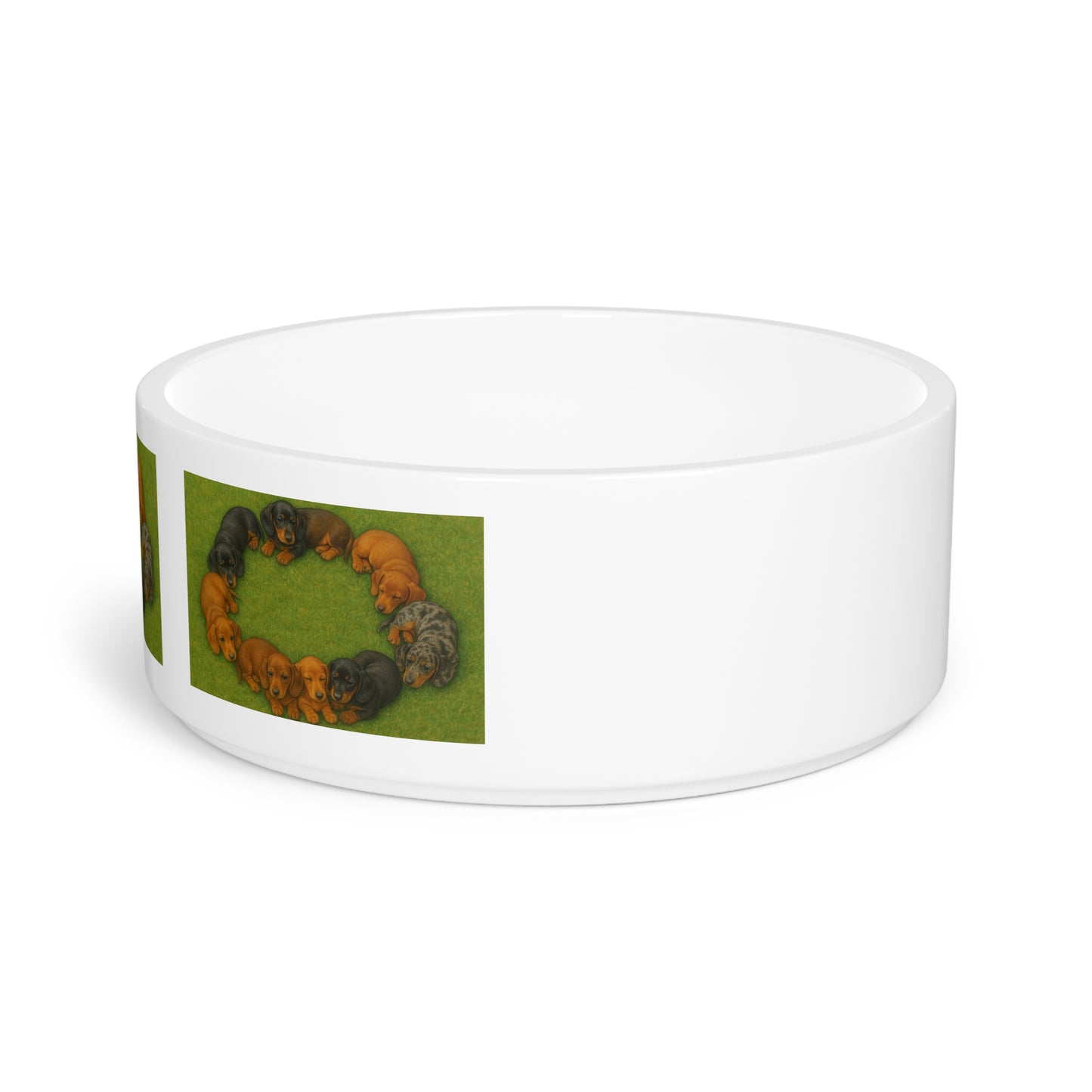 Dachshund puppies Pet Bowl