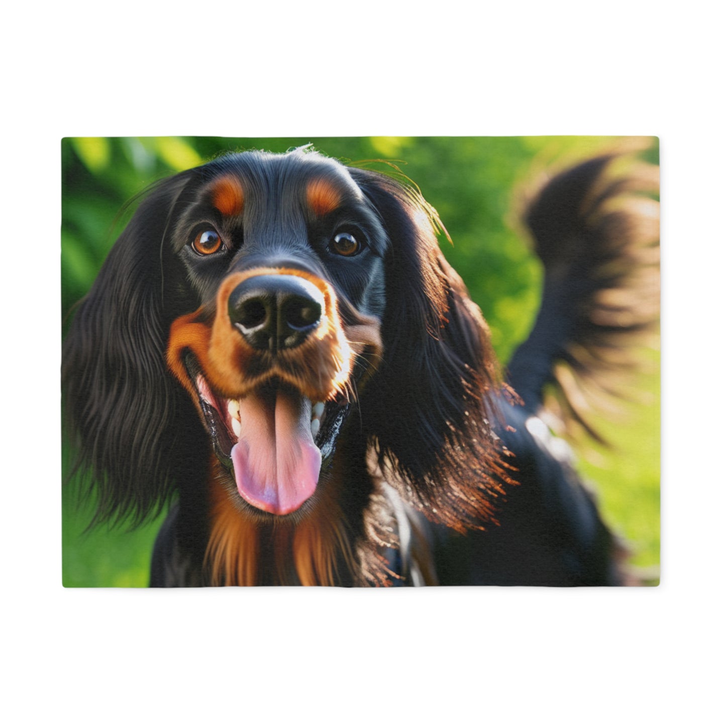 Gordon Setter Sweatshirt Blanket