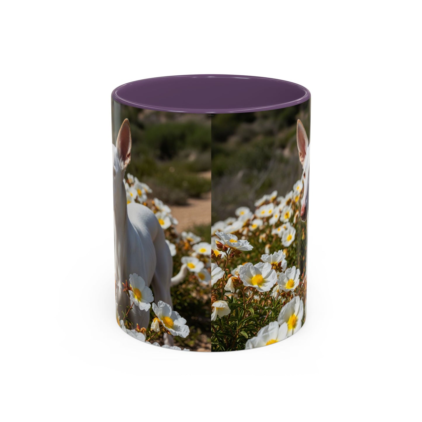 Ibizan Hound Accent Coffee Mug - Perfect Gift for Dog Lovers