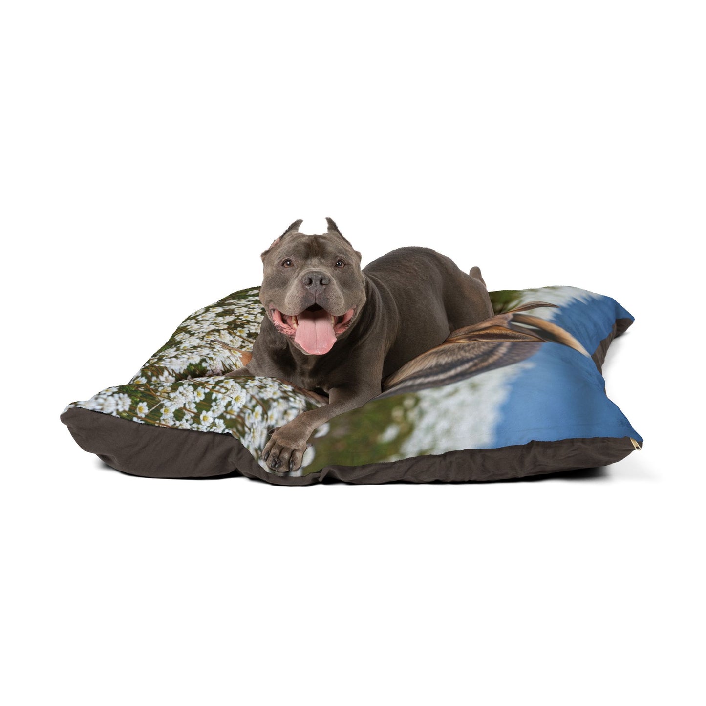 Norwegian Lundehund Pet Bed