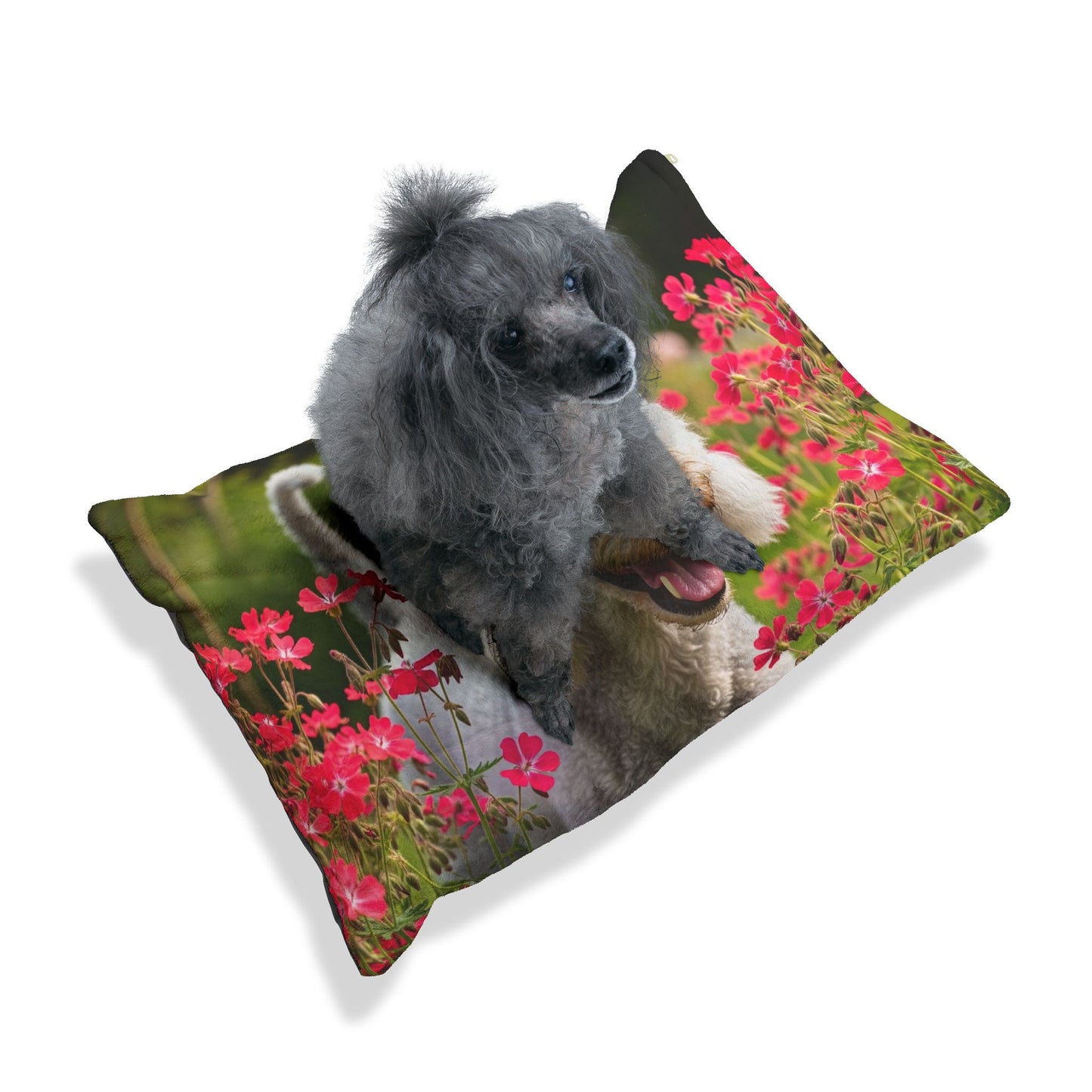 Bedlington Terrier Pet Bed