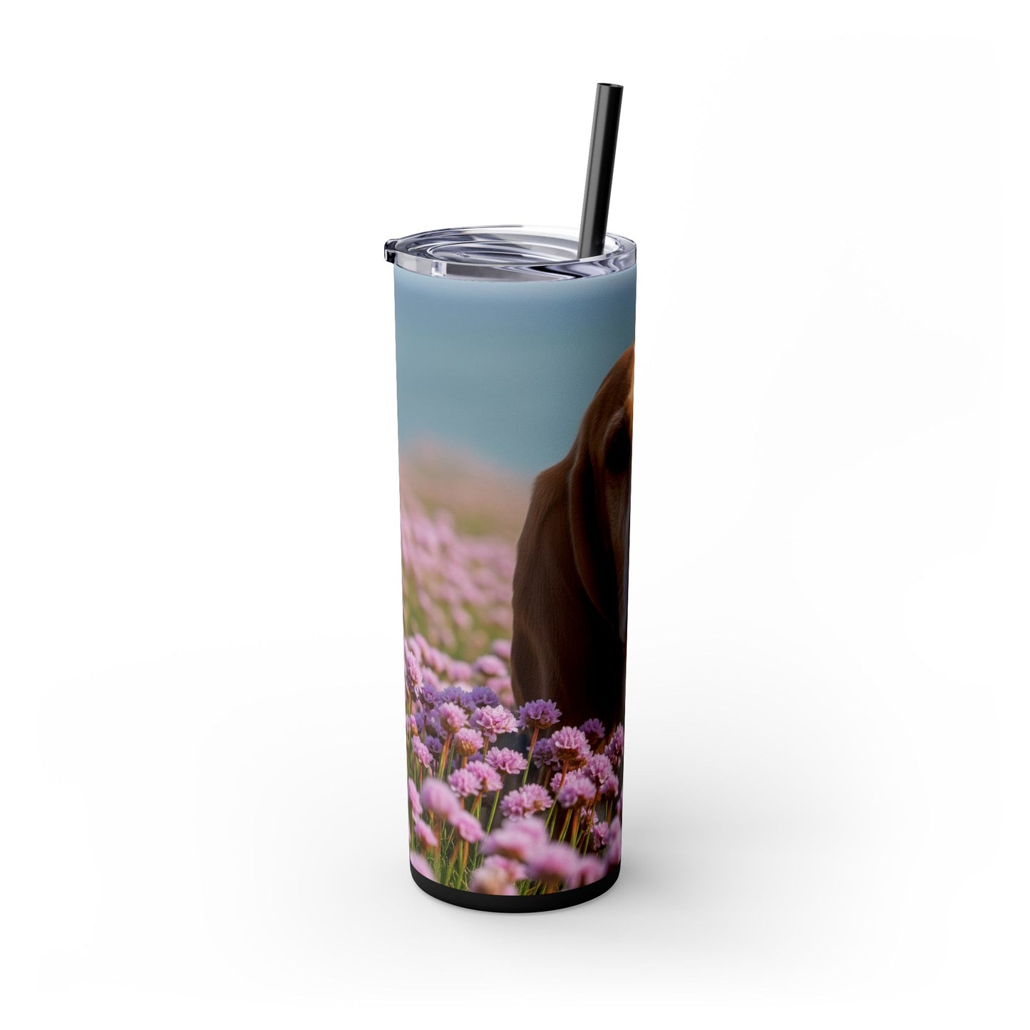 Basset Fauve de Bretagne Skinny Tumbler with Straw, 20oz