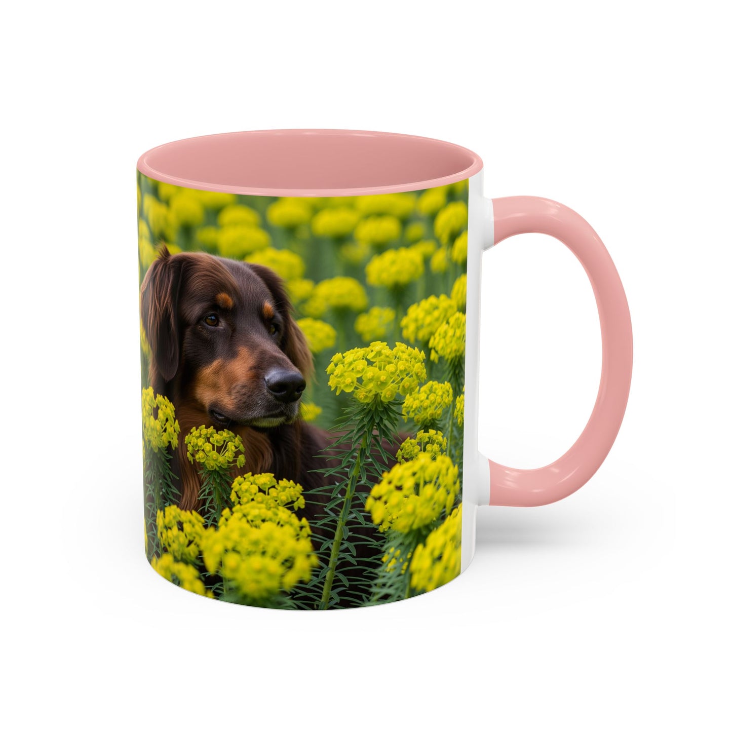 Hovawart Accent Coffee Mug - Perfect Gift for Dog Lovers
