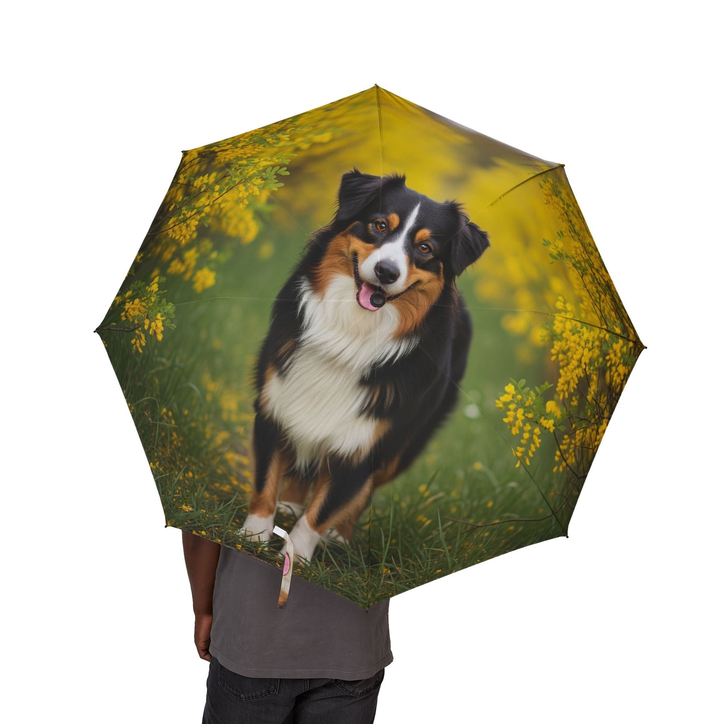 Australian Shepherd Semi-Automatic Foldable Umbrella