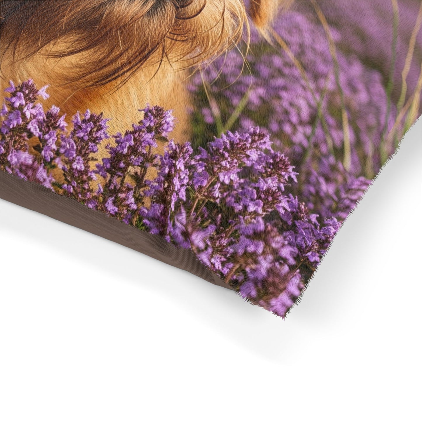 Griffon Bruxellois Pet Bed