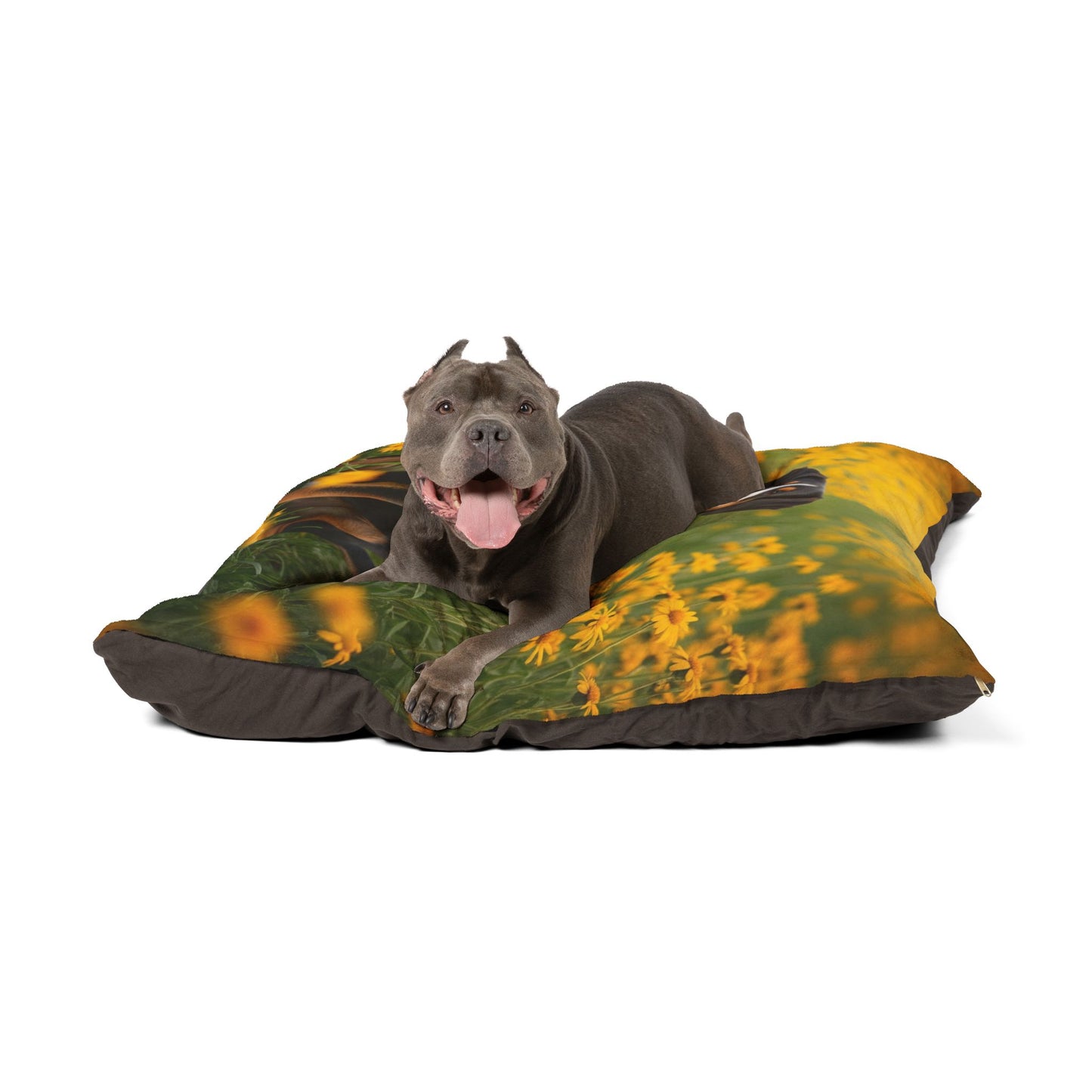 Entlebucher Mountain Dog Pet Bed