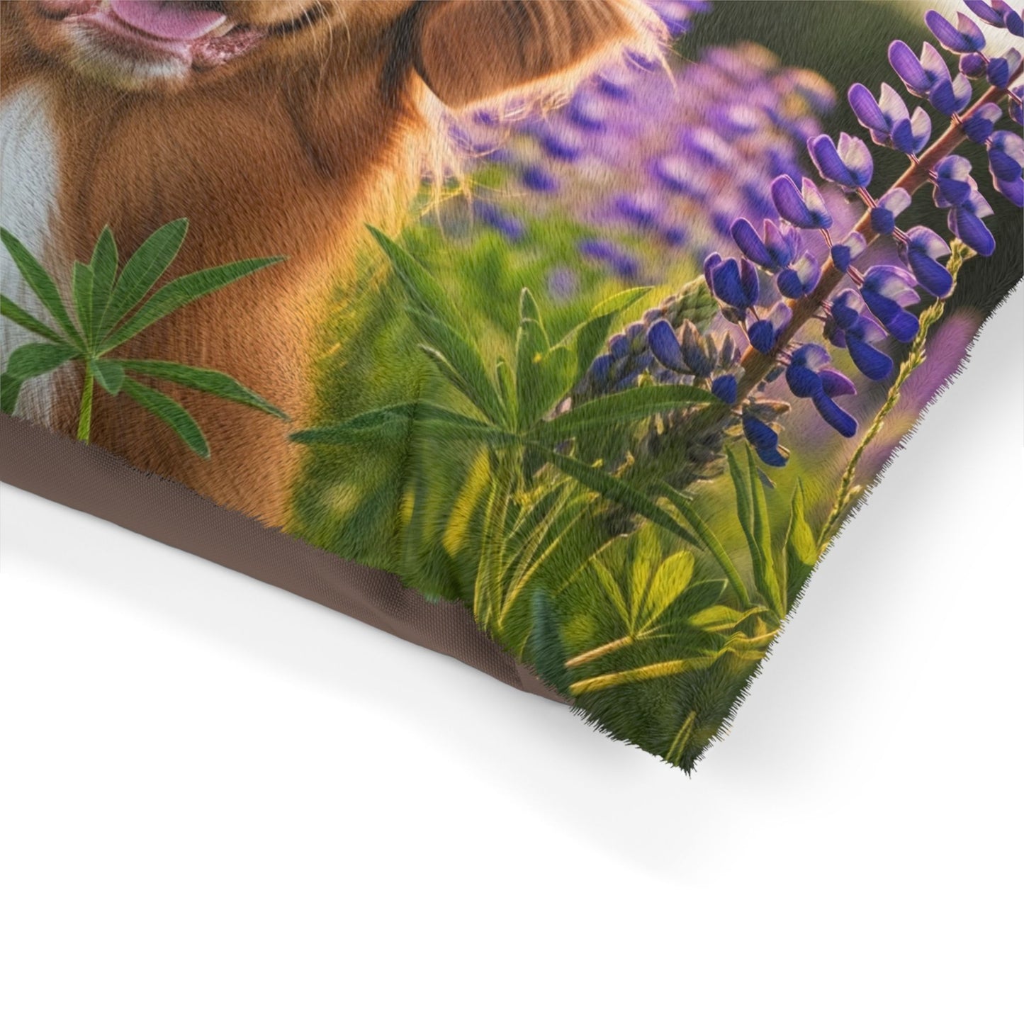 Nova Scotia Duck Tolling Retriever Pet Bed
