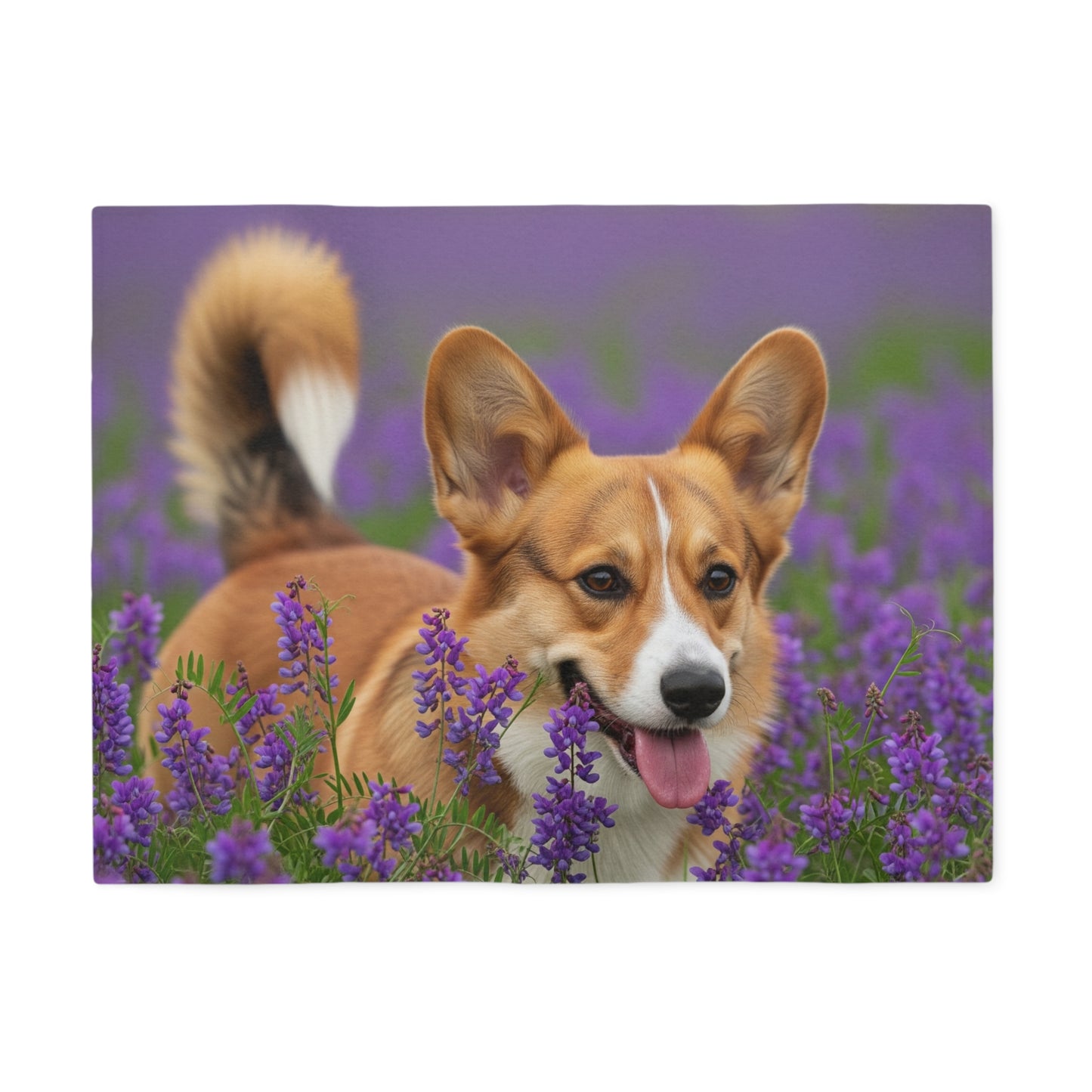 Cardigan Welsh Corgi Sweatshirt Blanket