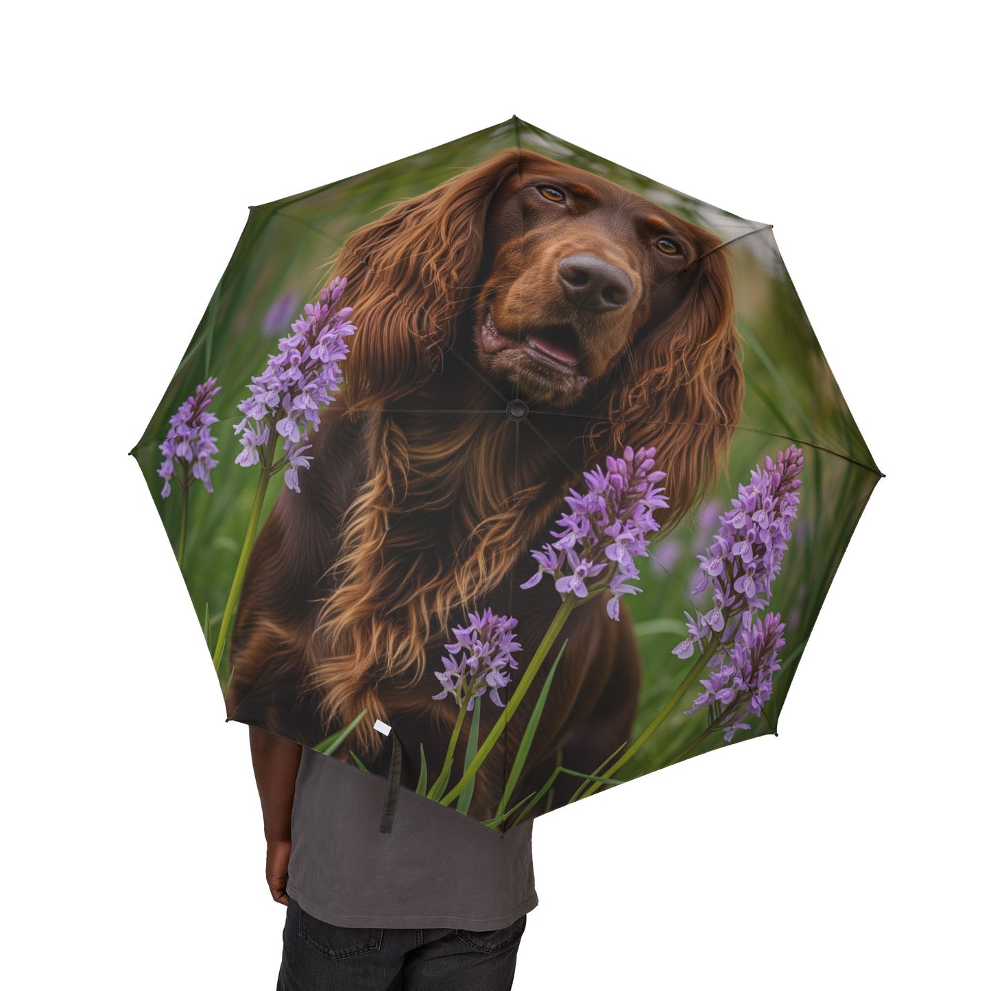 Pont-Audemer Spaniel Semi-Automatic Foldable Umbrella