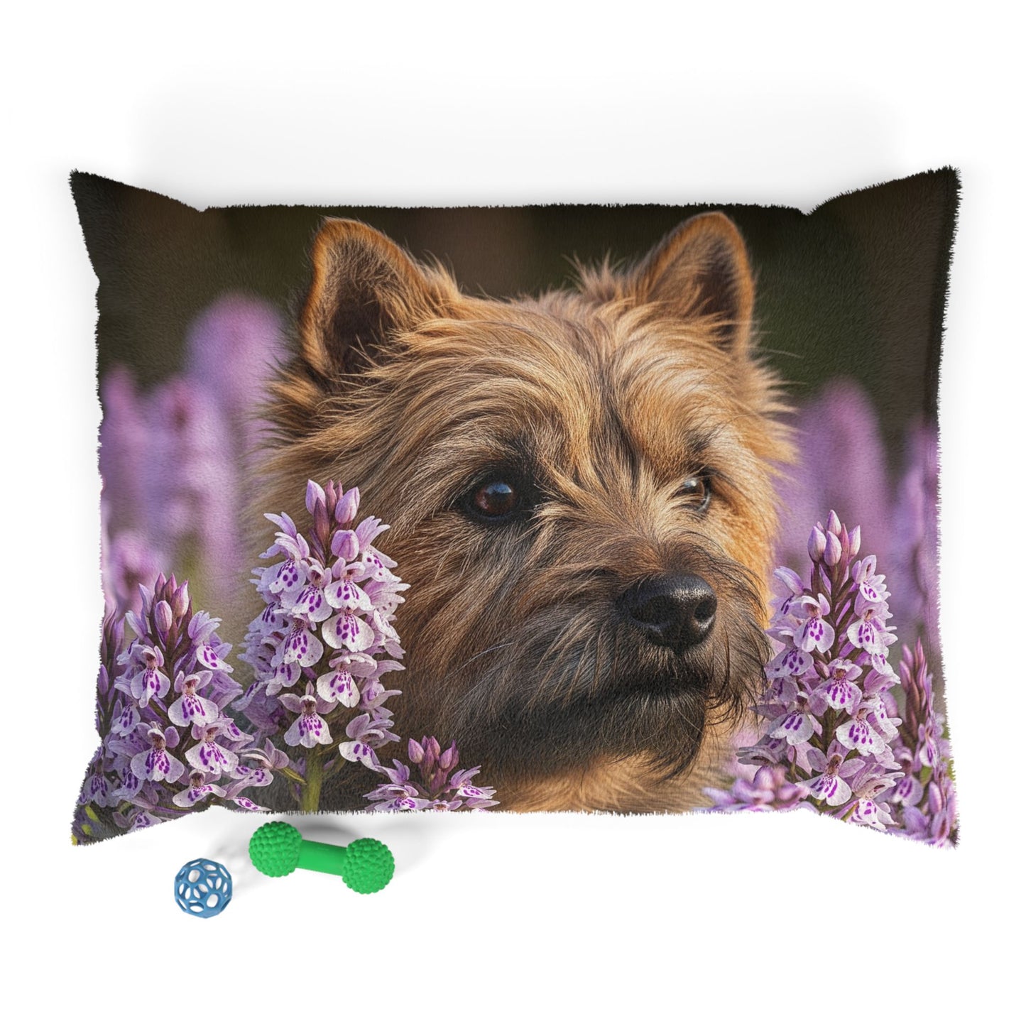Cairn Terrier Pet Bed