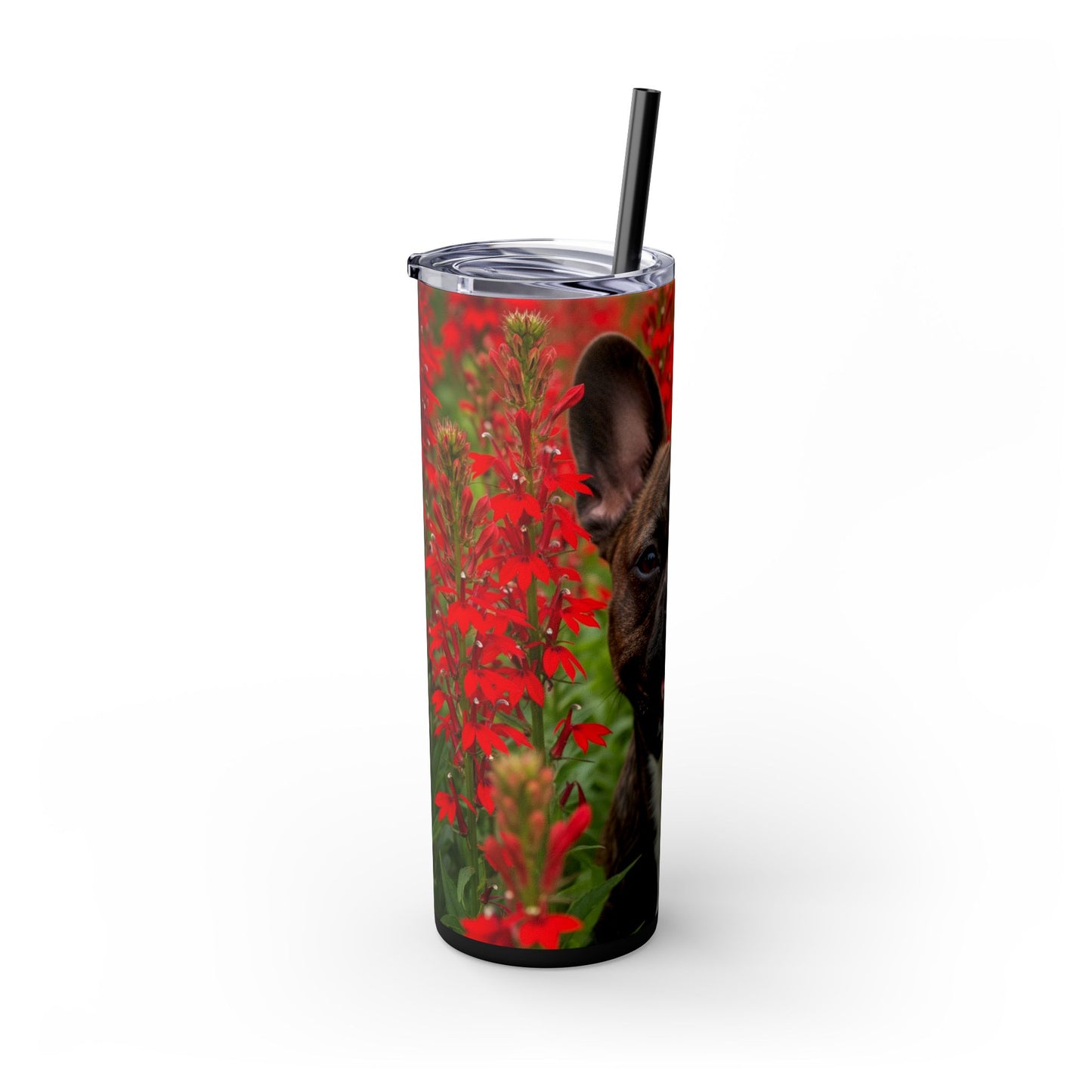 Frenchton Tumbler with Straw, 20oz