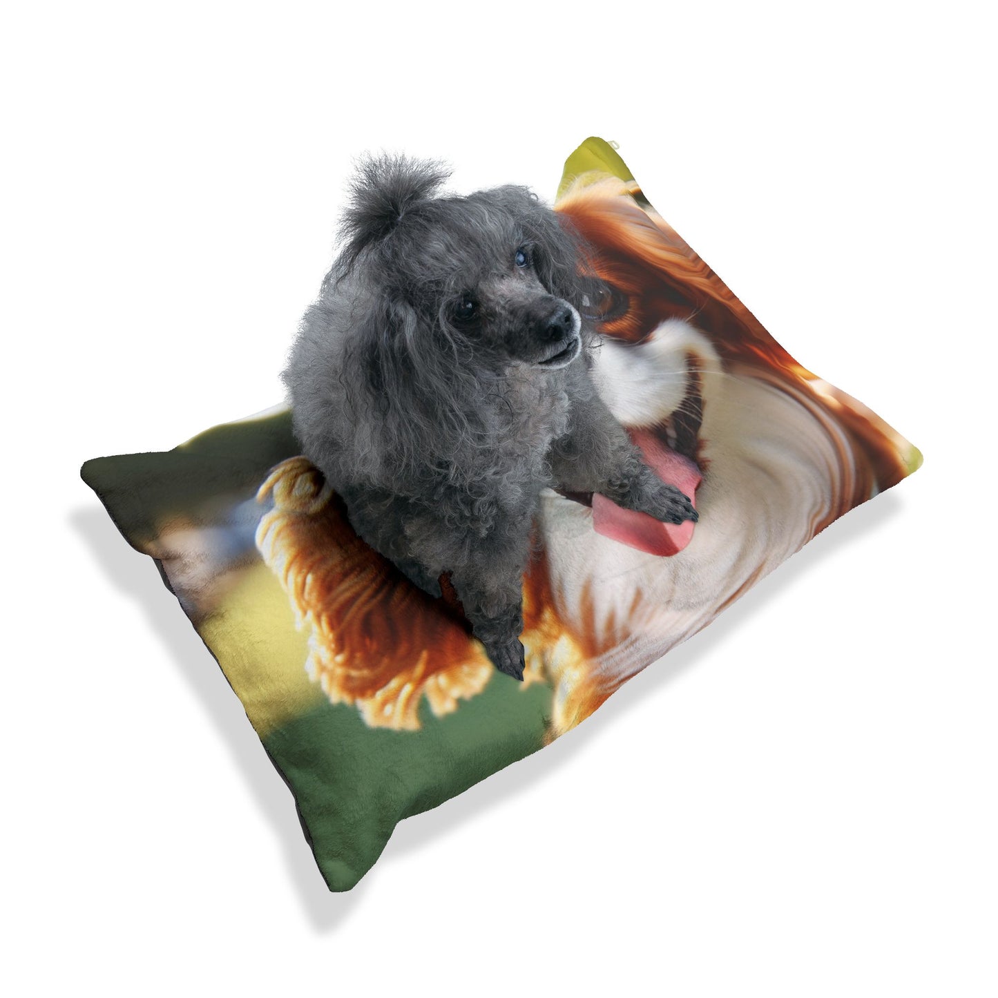 Cavalier King Charles Spaniel Pet Bed