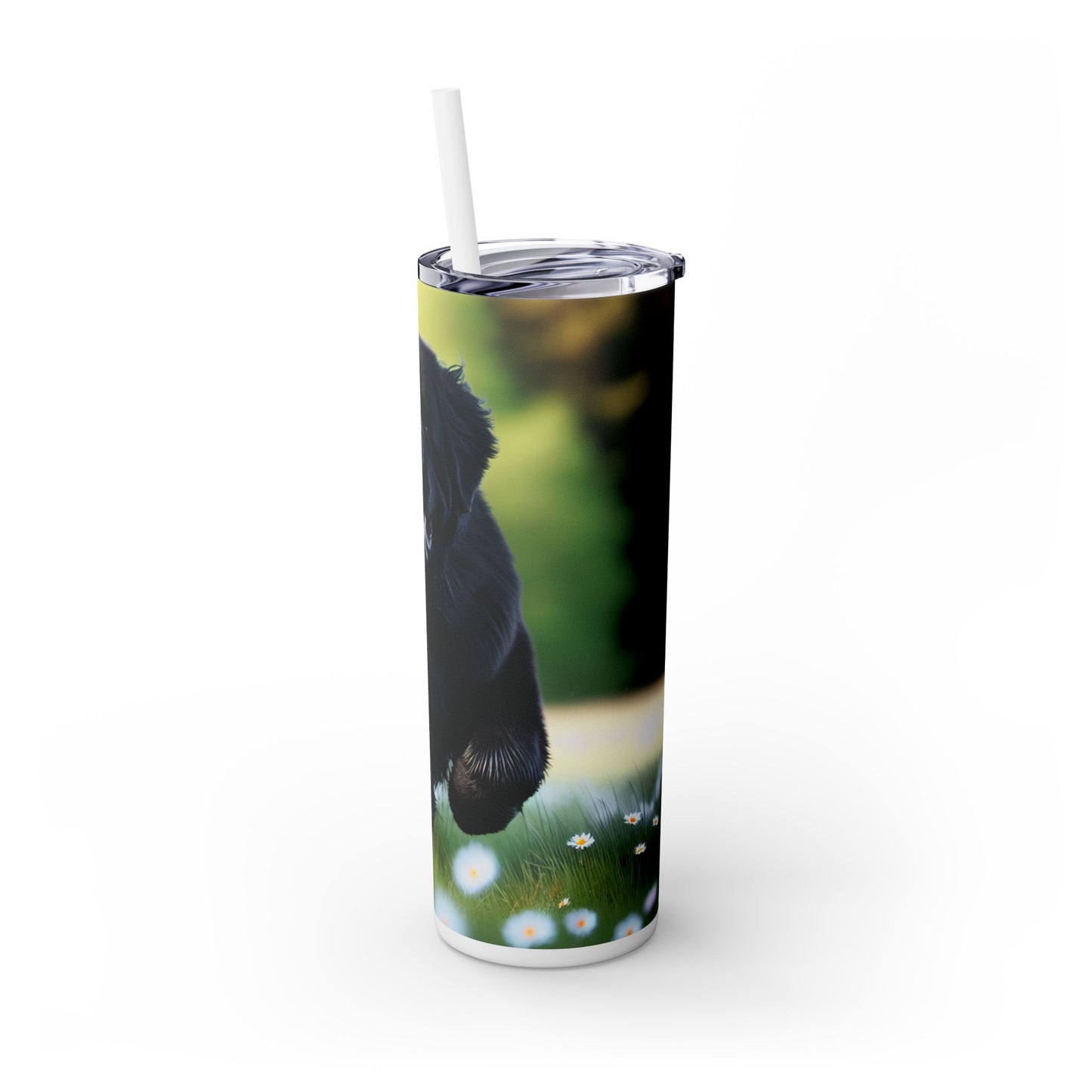 Newfoundland Skinny Tumbler with Straw, 20oz