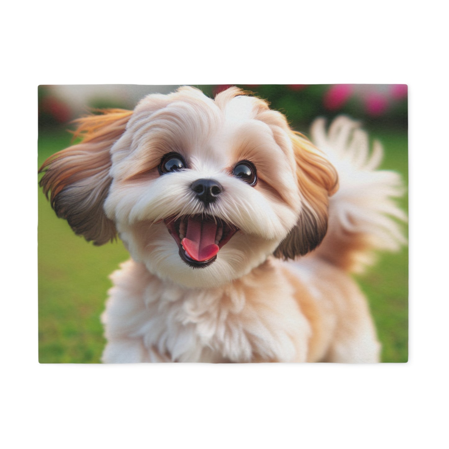 Shih-poo Sweatshirt Blanket