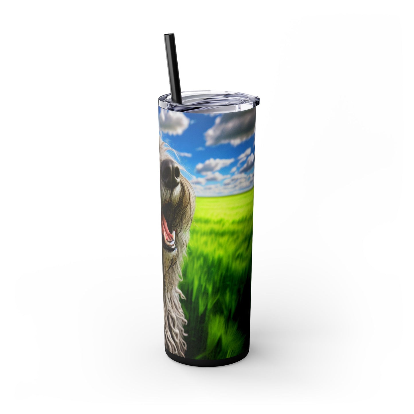 Bergamasco Shepherd Dog Tumbler with Straw, 20oz