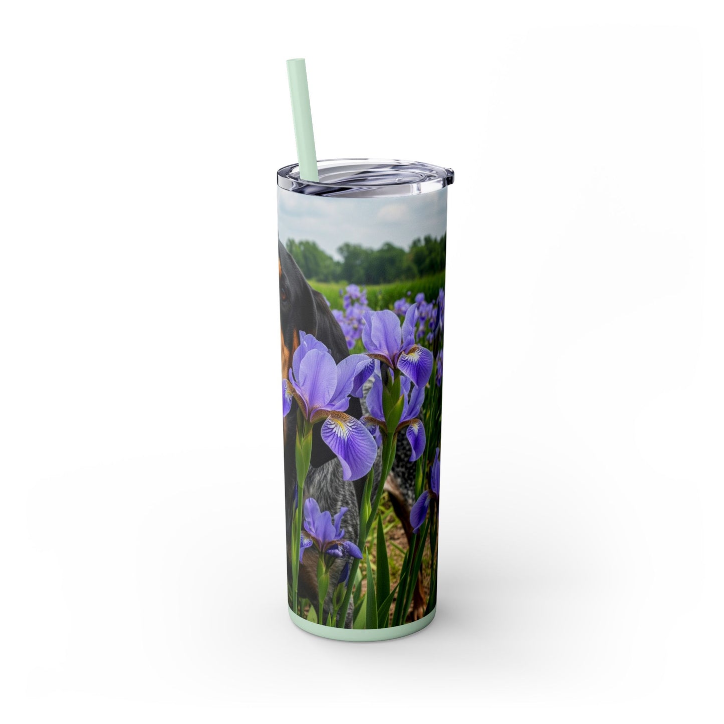 Bluetick Coonhound Tumbler with Straw, 20oz