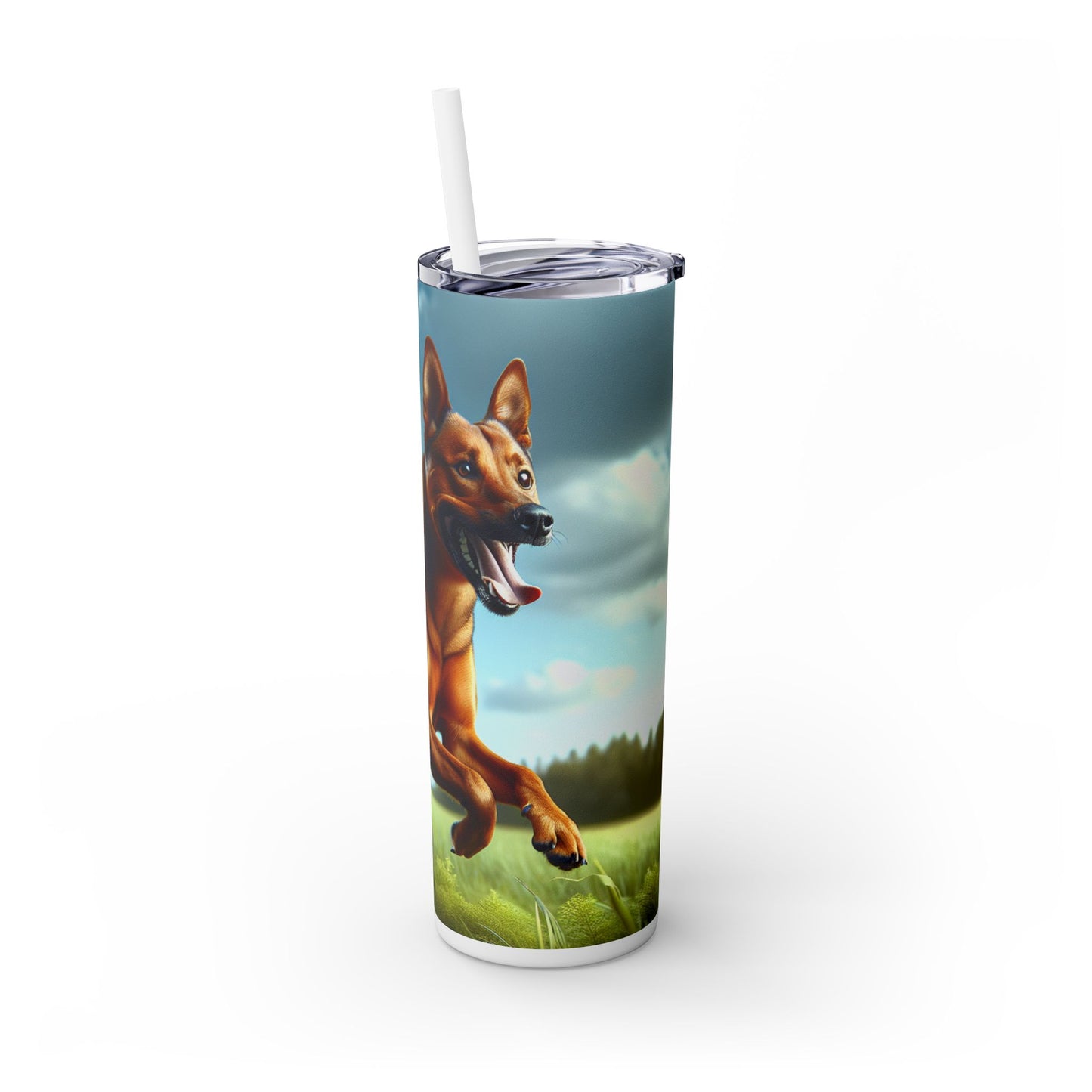Kanni Tumbler with Straw, 20oz