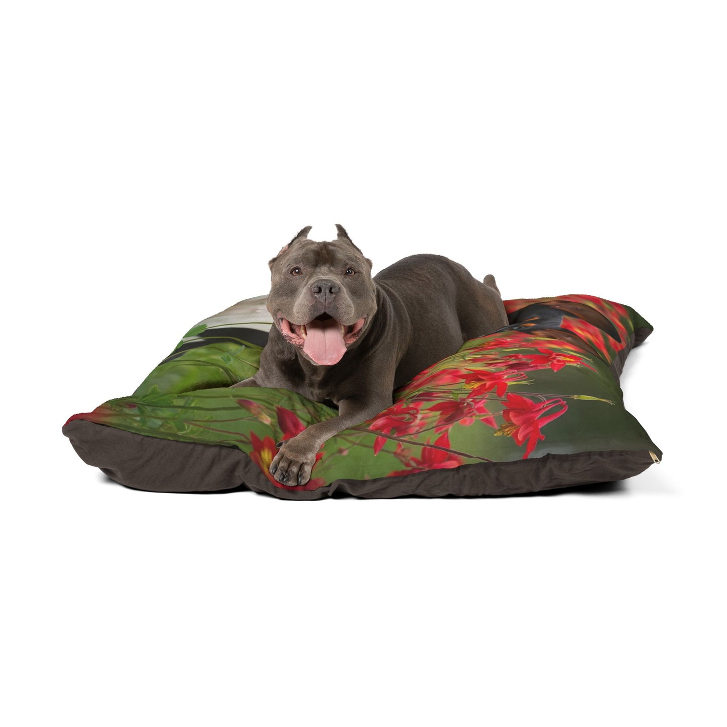 Toy Fox Terrier Pet Bed