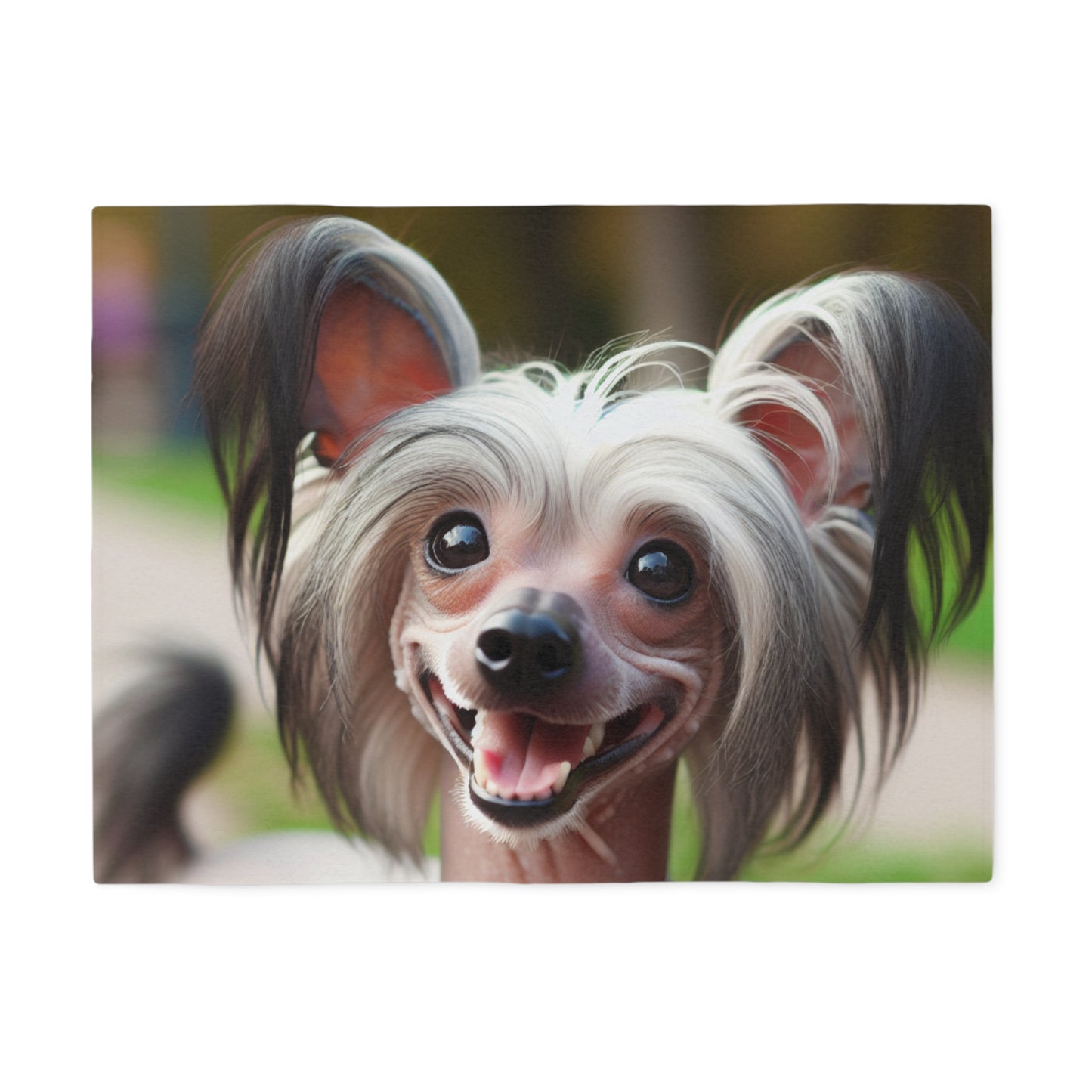 Chinese Crested Dog Sweatshirt Blanket