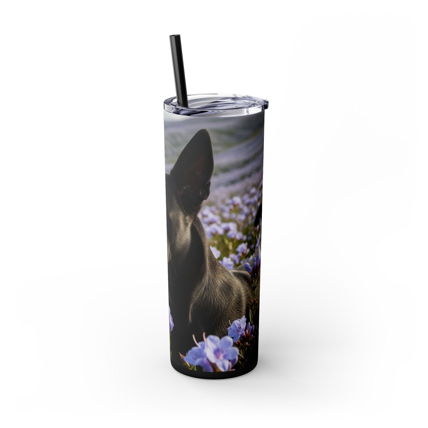 Kanni Tumbler with Straw, 20oz