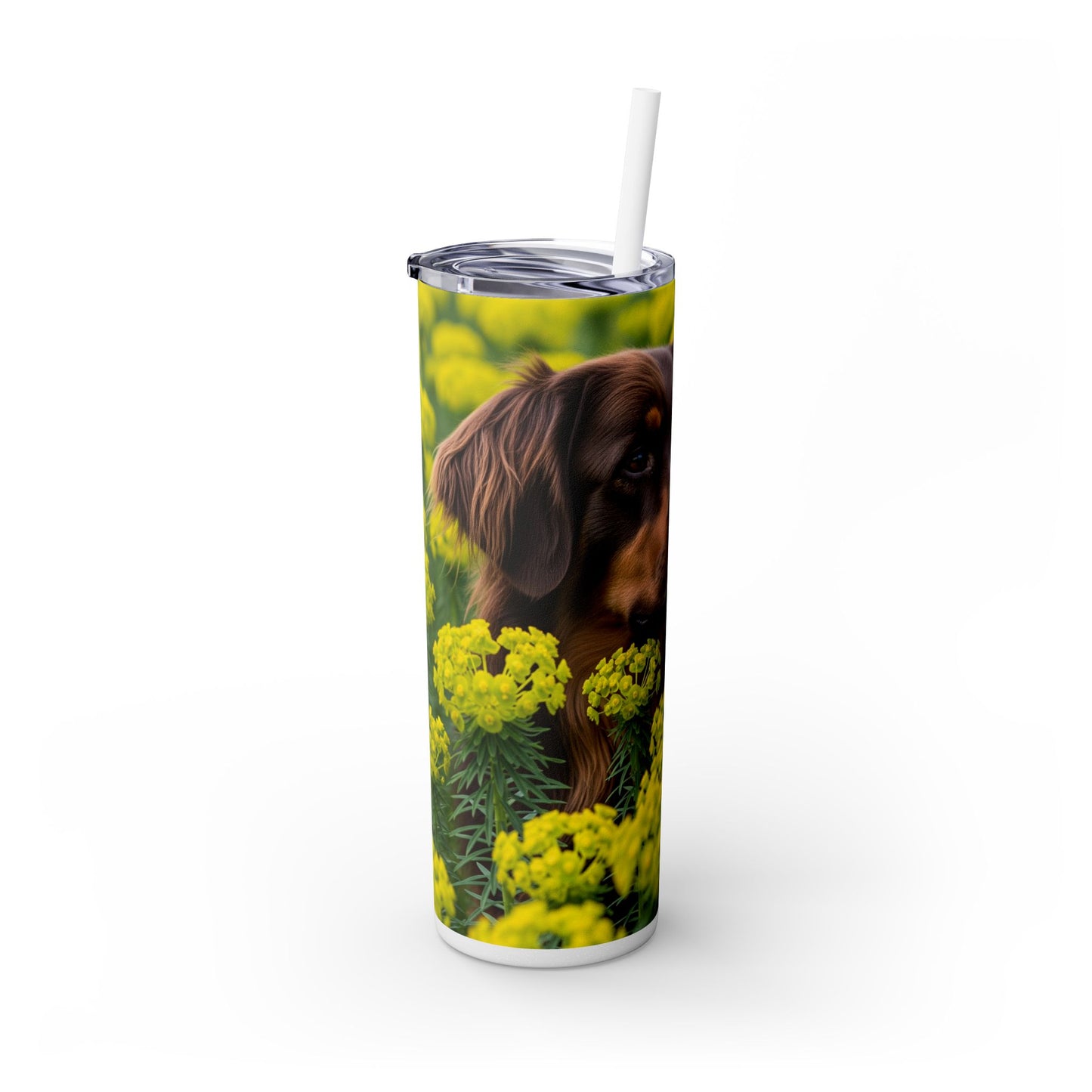 Hovawart Tumbler with Straw, 20oz