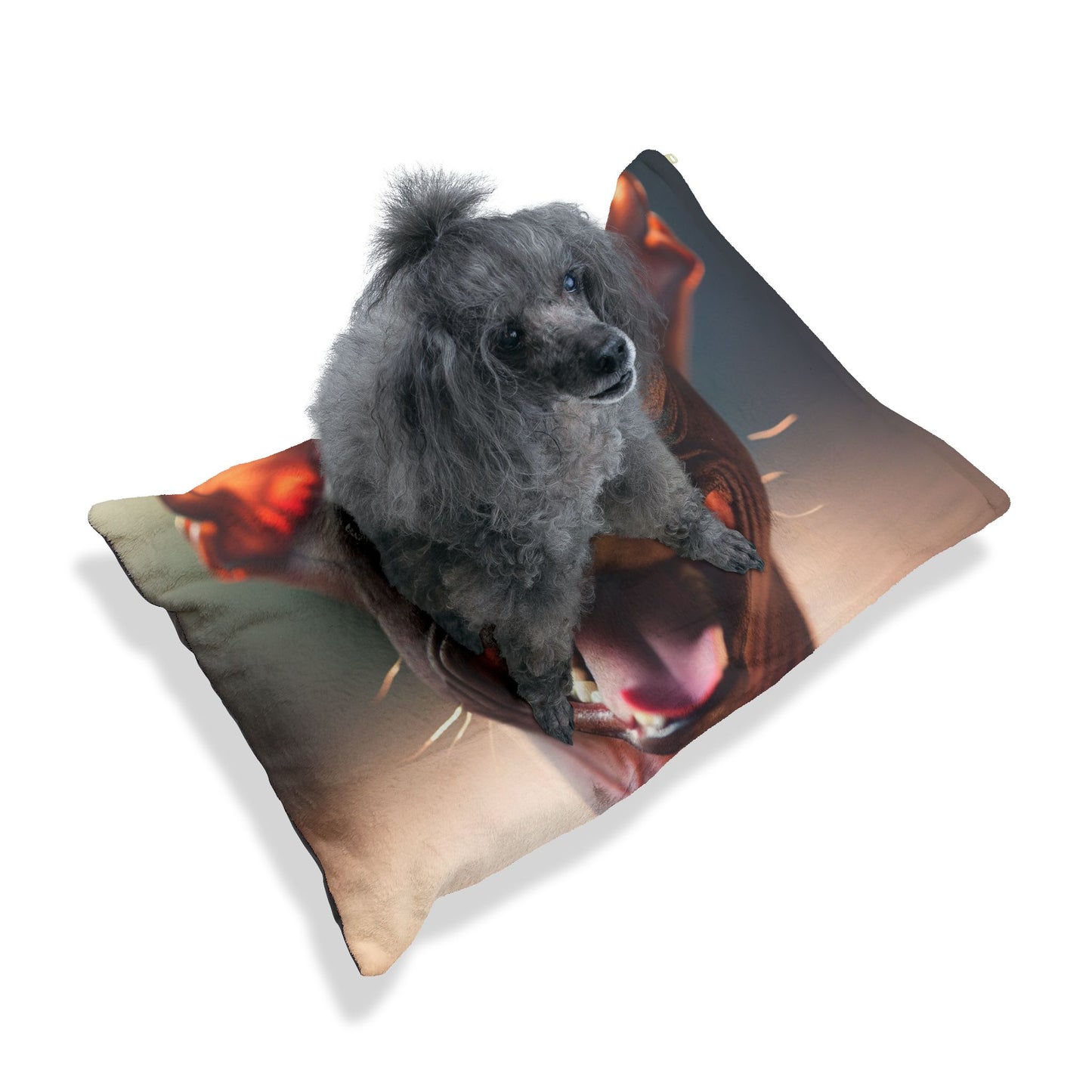 Xoloitzcuintli Pet Bed