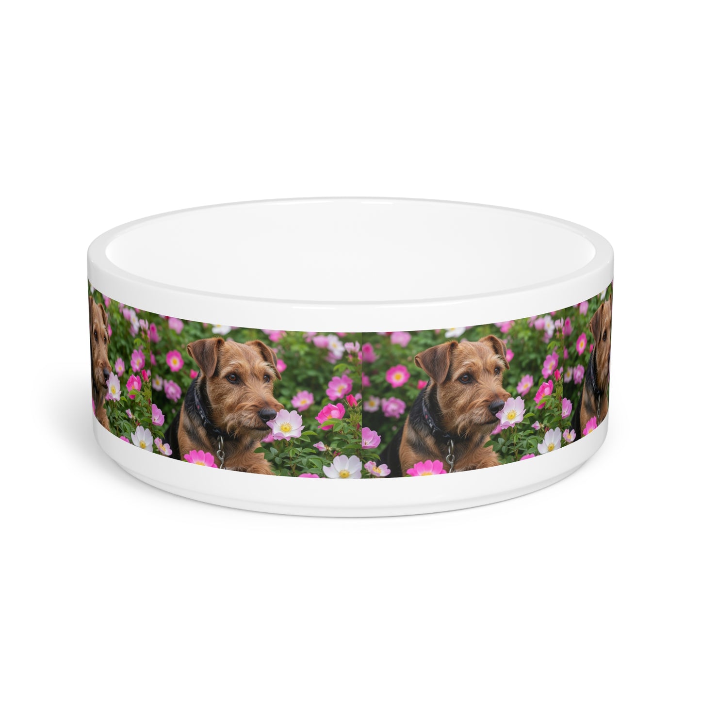 Teddy Roosevelt Terrier Pet Bowl