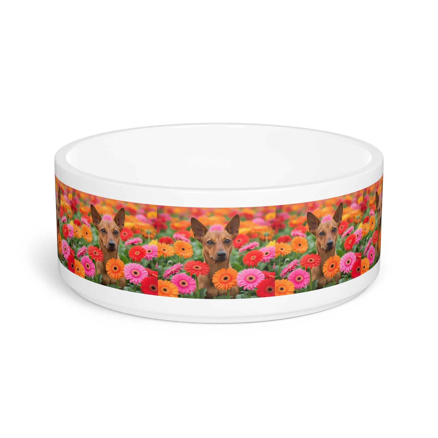 Brazilian Terrier Pet Bowl