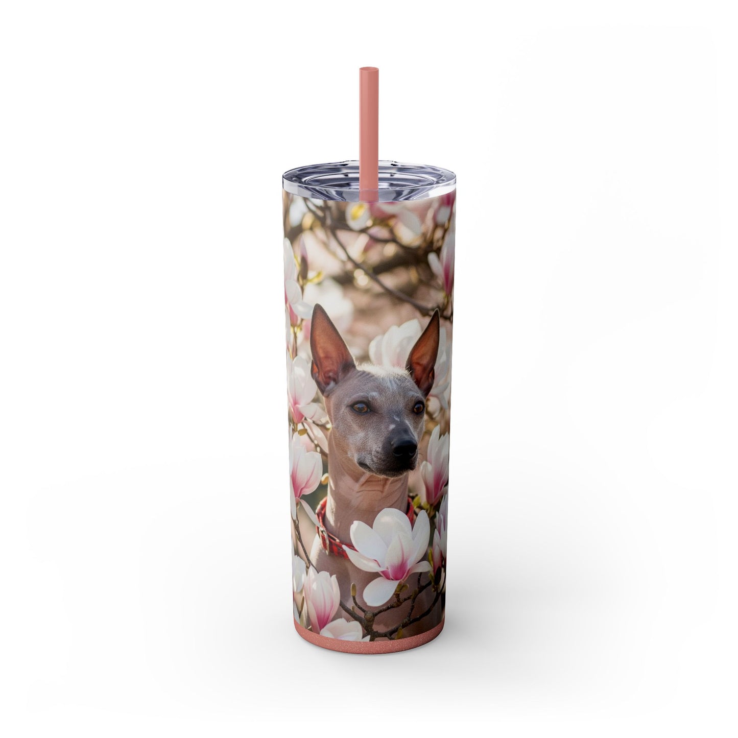 American Hairless Terrier Skinny Tumbler with Straw, 20oz