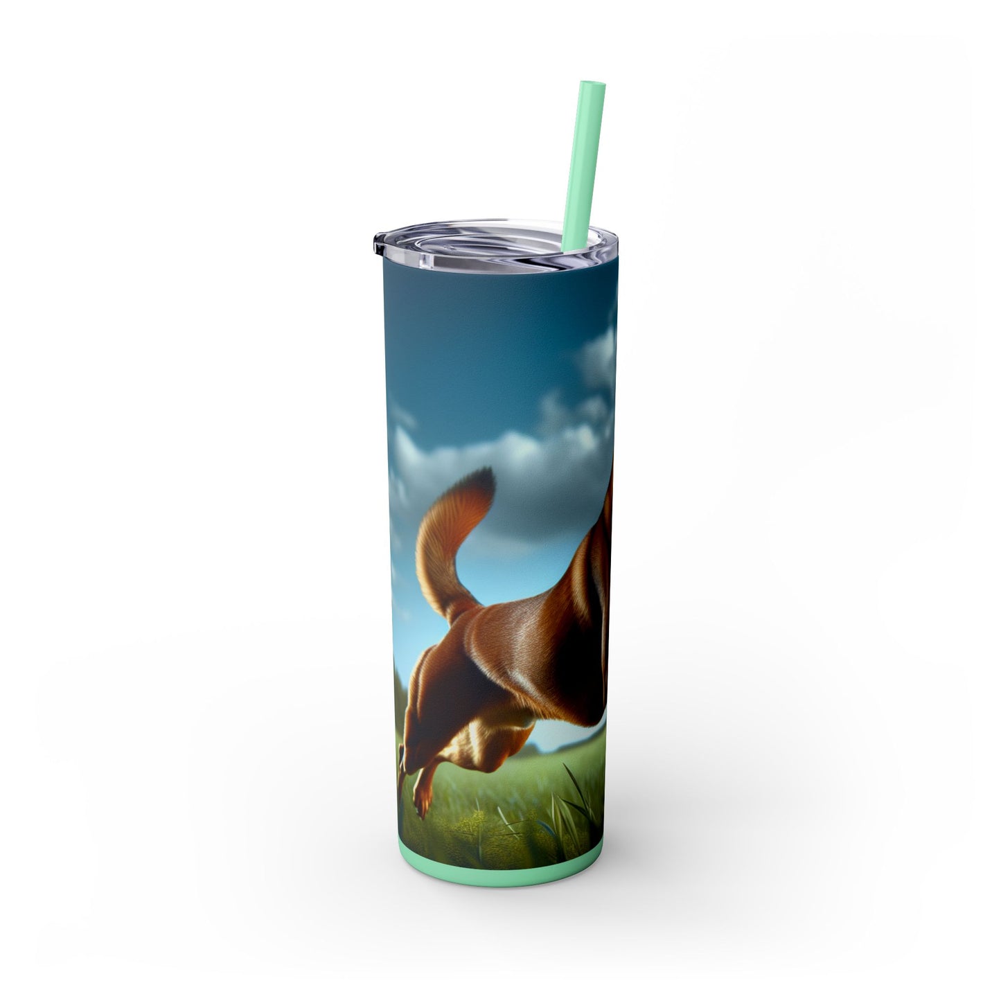 Kanni Tumbler with Straw, 20oz