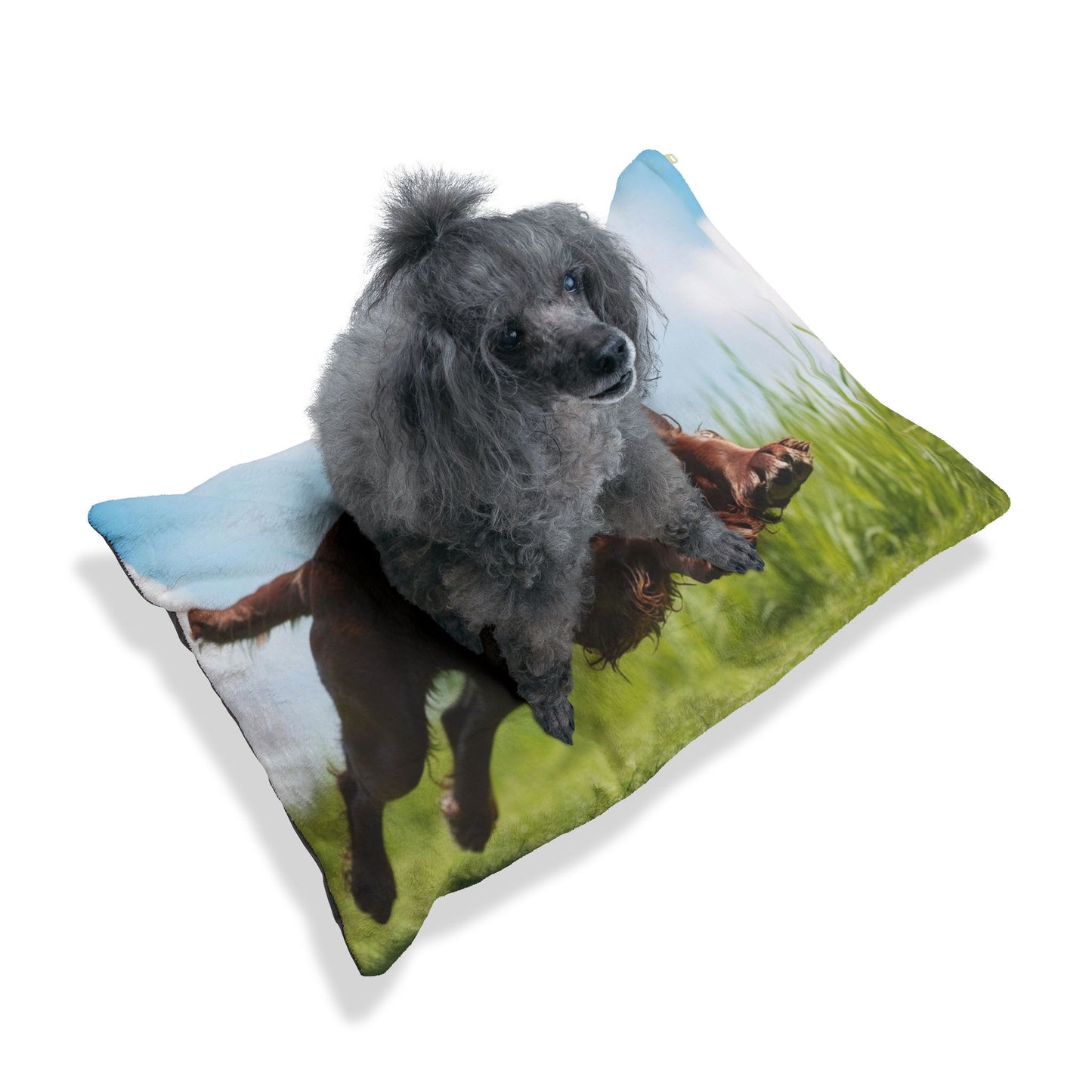 Irish Water Spaniel Pet Bed