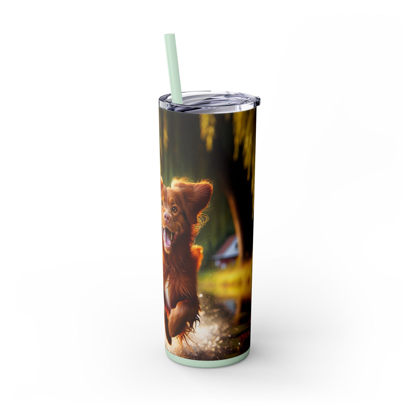 Nova Scotia Duck Trolling Retriever Skinny Tumbler with Straw, 20oz