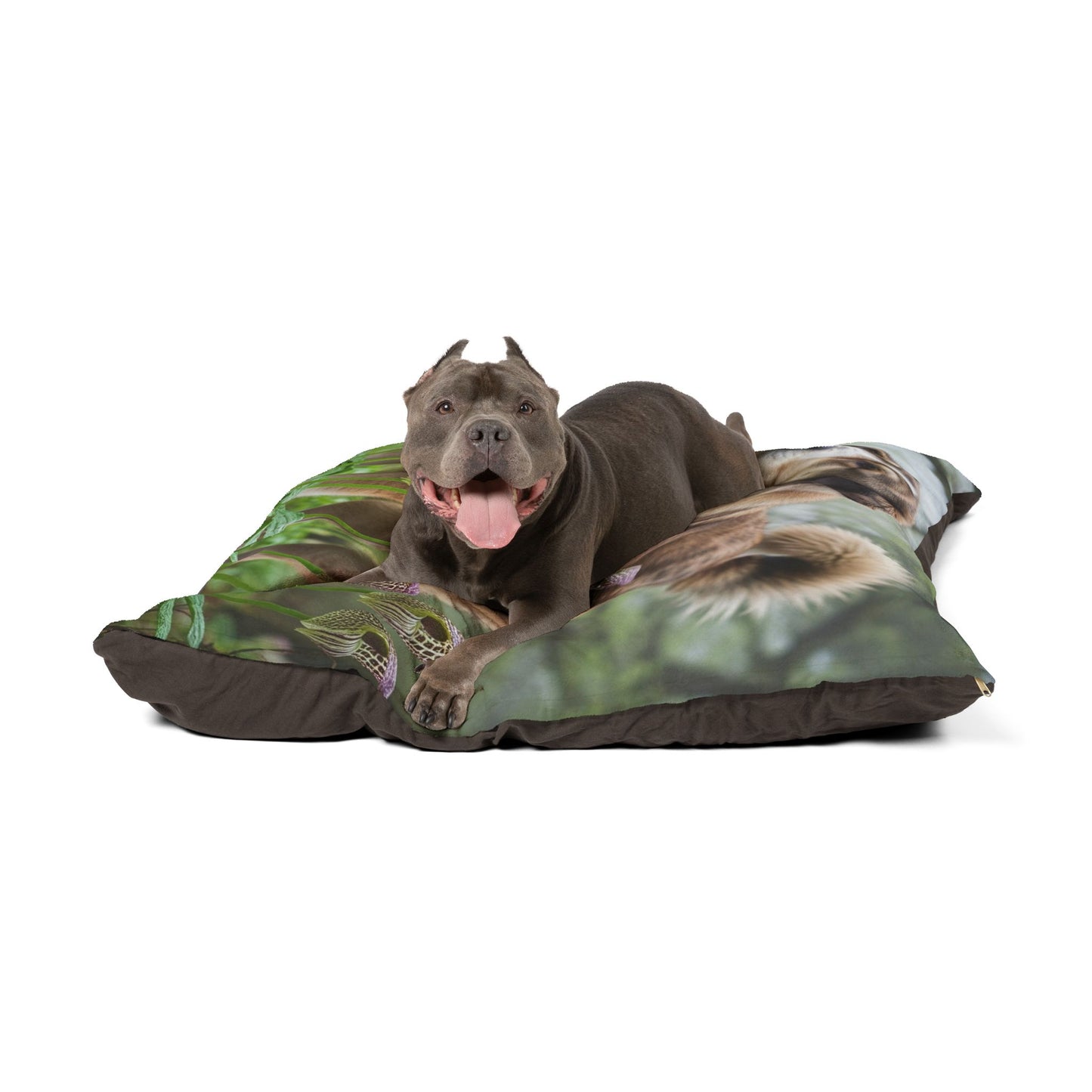 Bakharwal Pet Bed