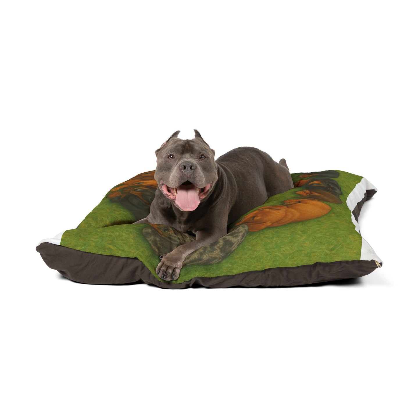 Dachshund puppies Pet Bed