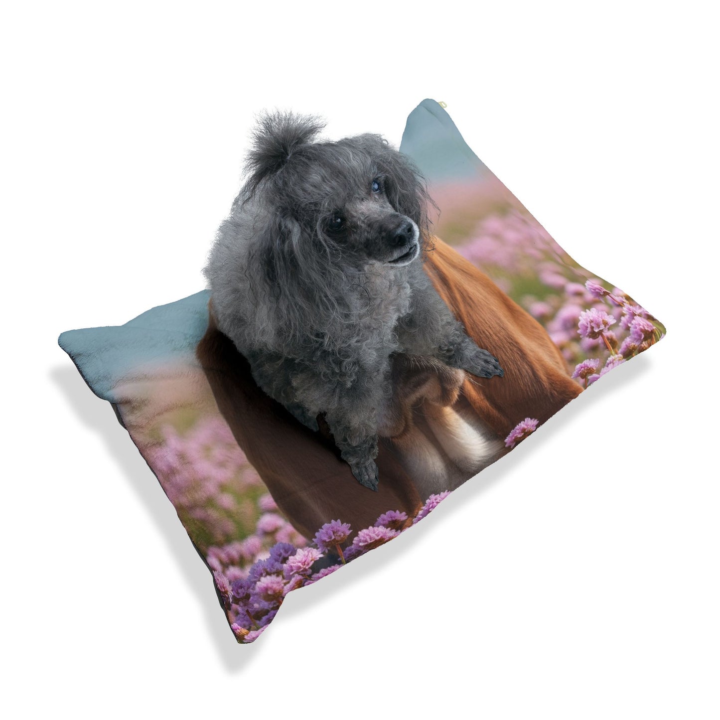 Basset Fauve de Bretagne Pet Bed