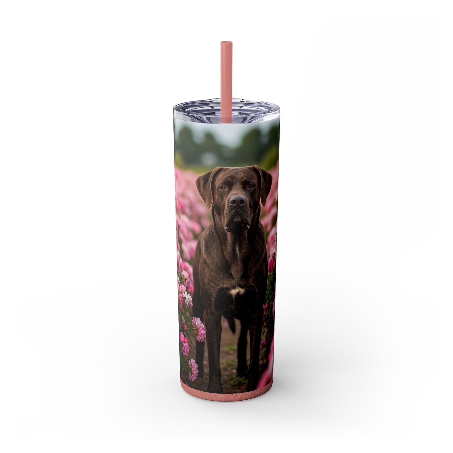 Broholmer Tumbler with Straw, 20oz