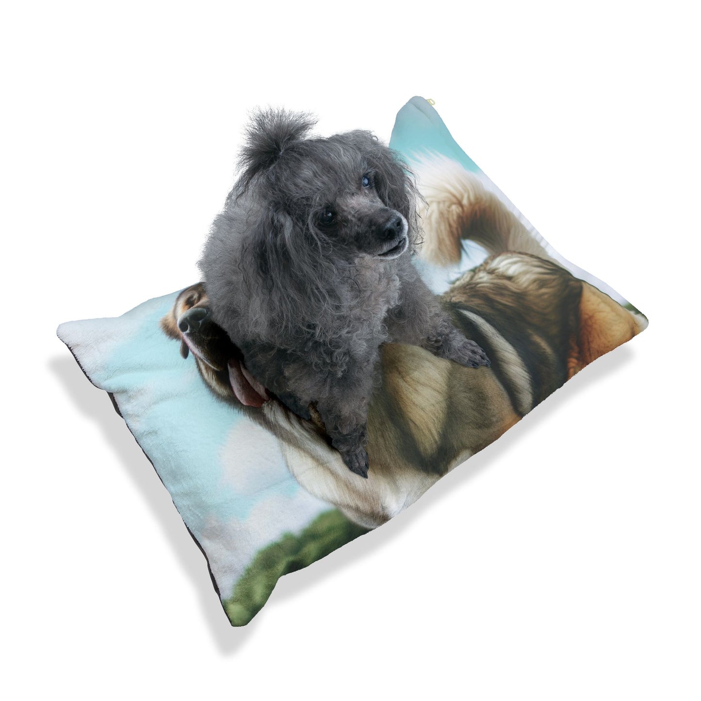 Rafeiro do Alentejo Pet Bed