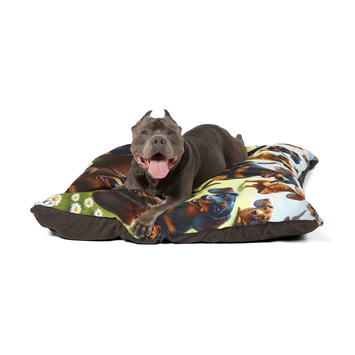 Dachshund Pet Bed