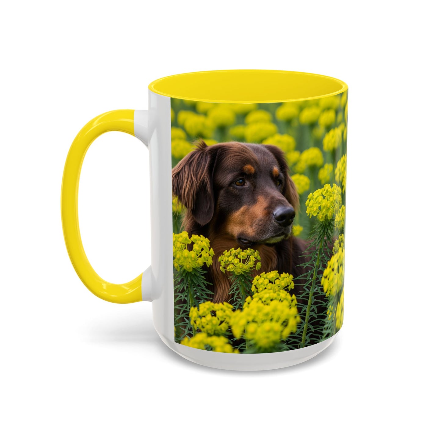 Hovawart Accent Coffee Mug - Perfect Gift for Dog Lovers