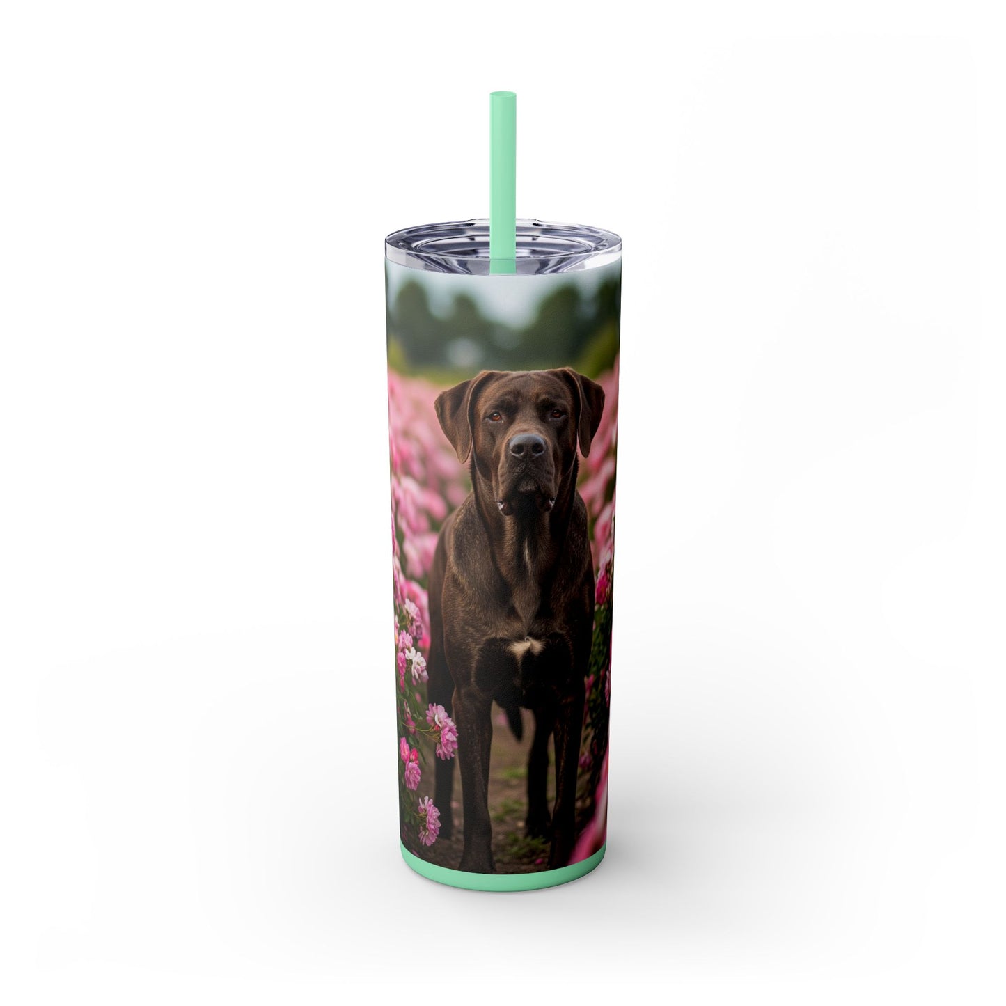 Broholmer Tumbler with Straw, 20oz