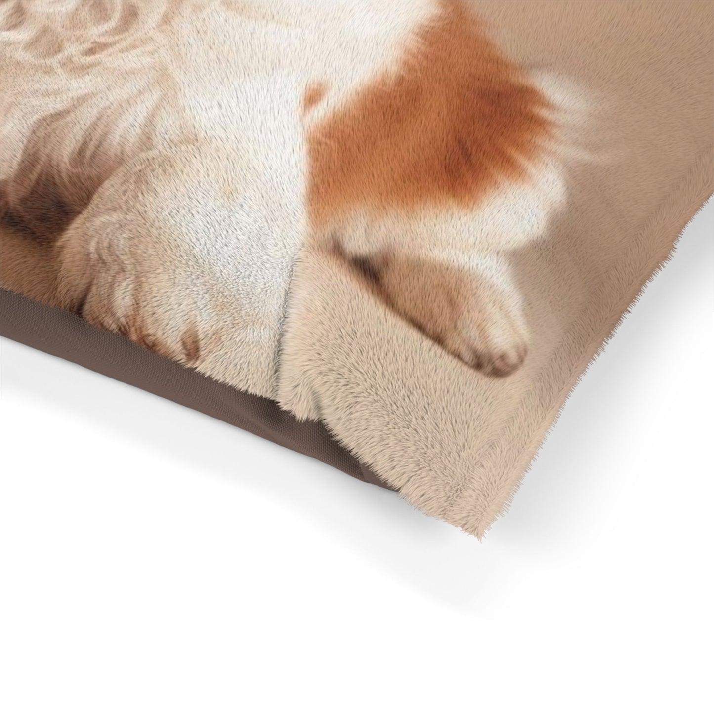 Lagotto Romagnolo Pet Bed